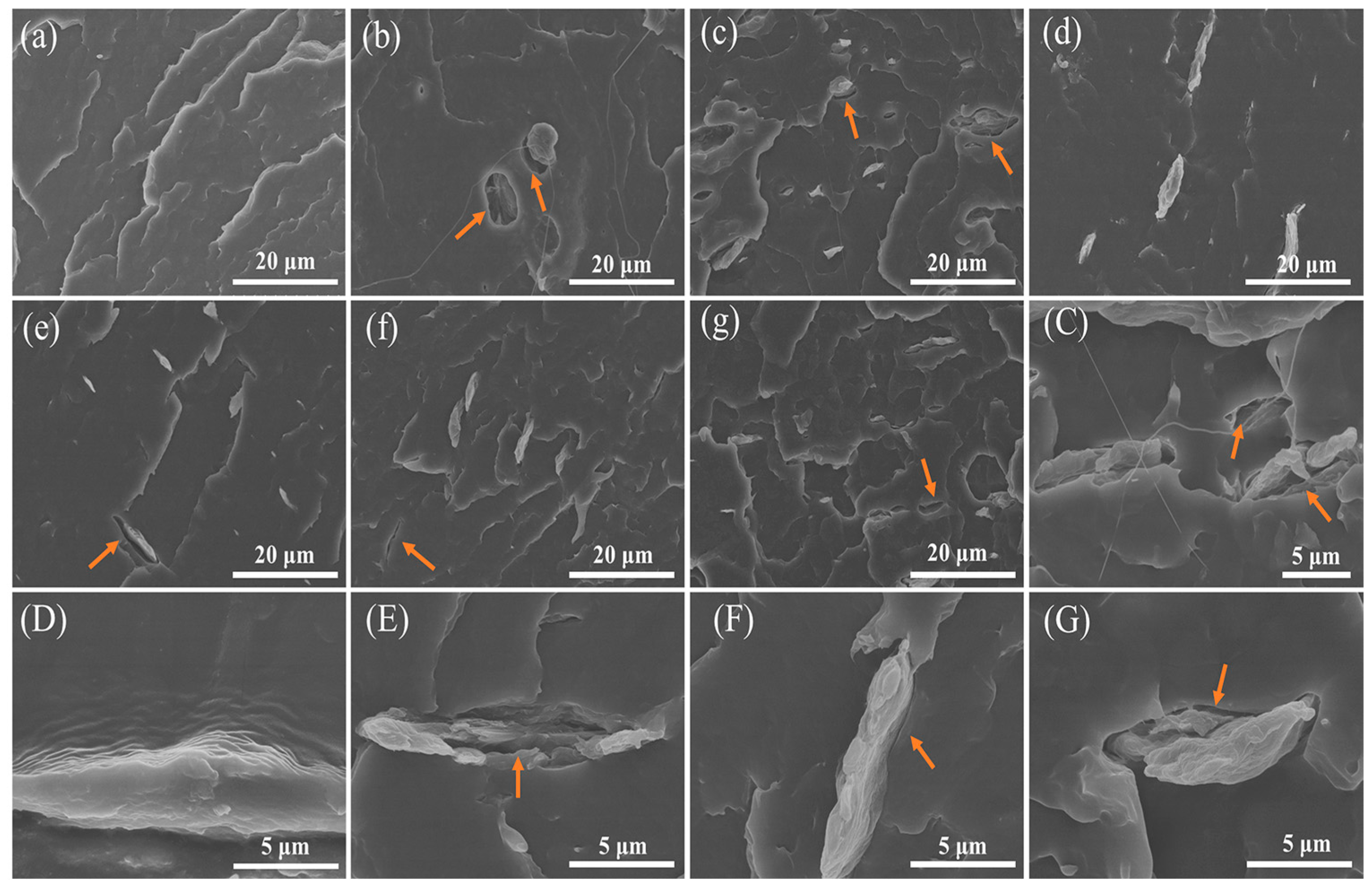 Polymers 14 01973 g006