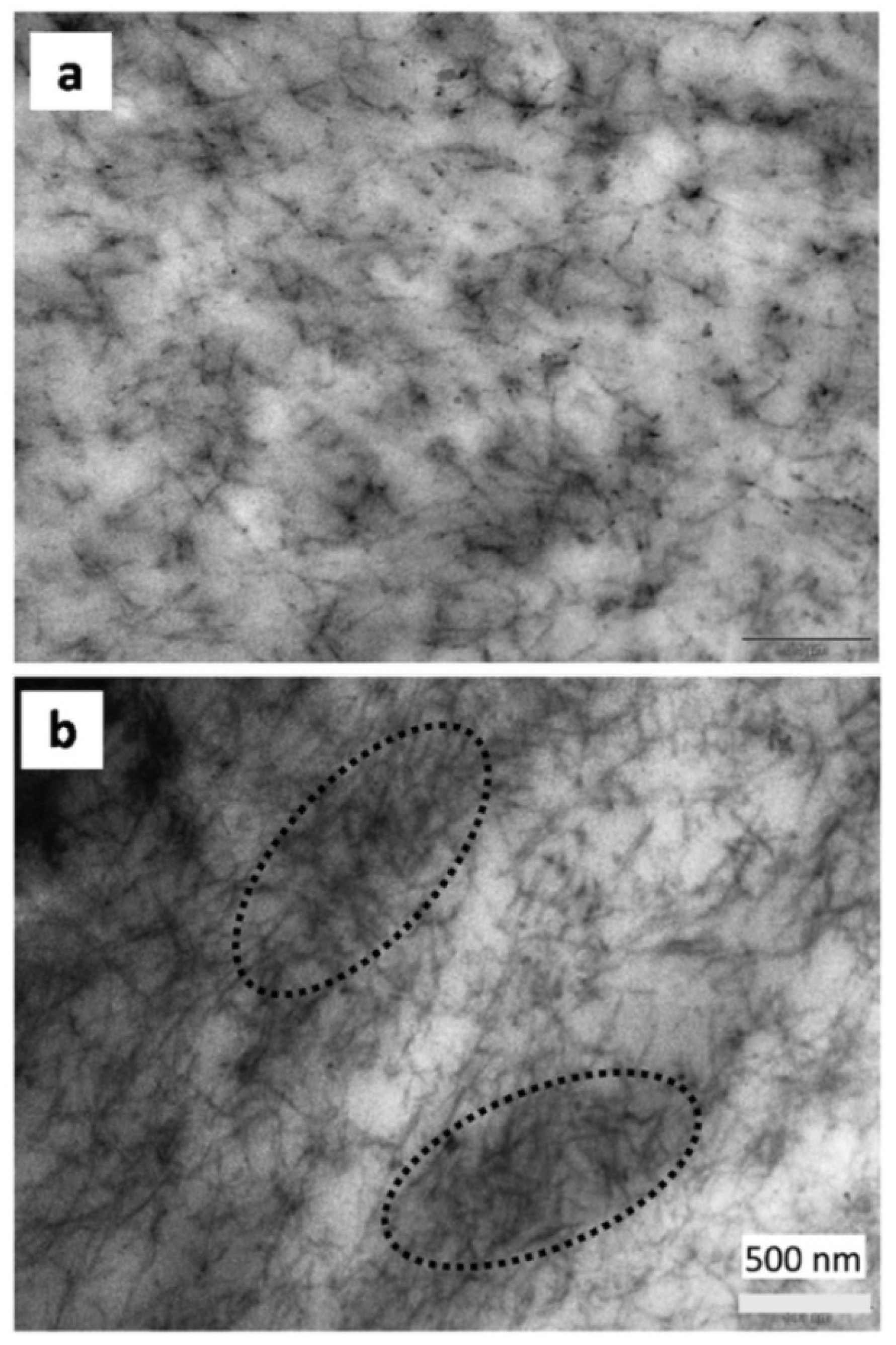 Polymers 14 01974 g002