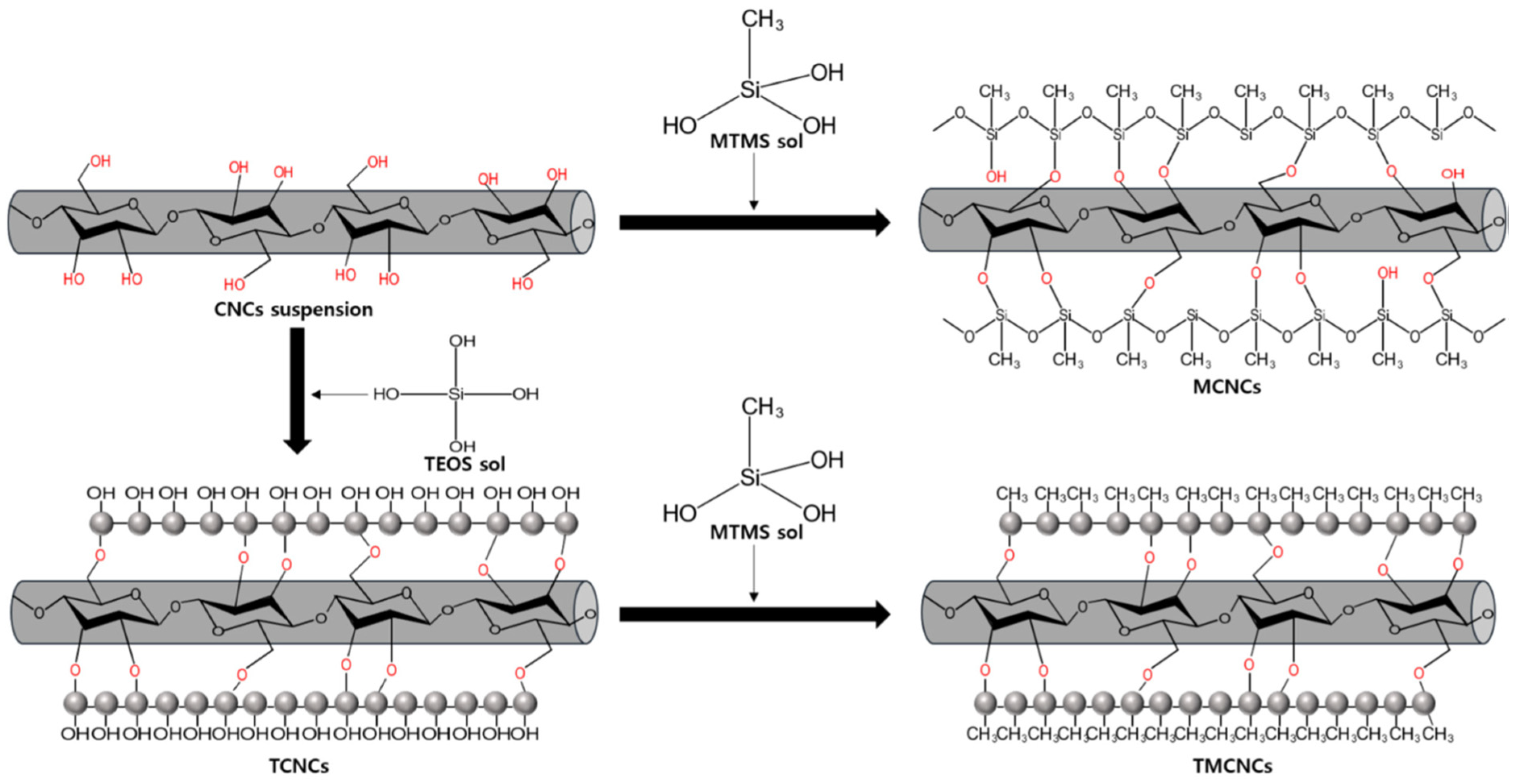 Polymers 14 01974 g003