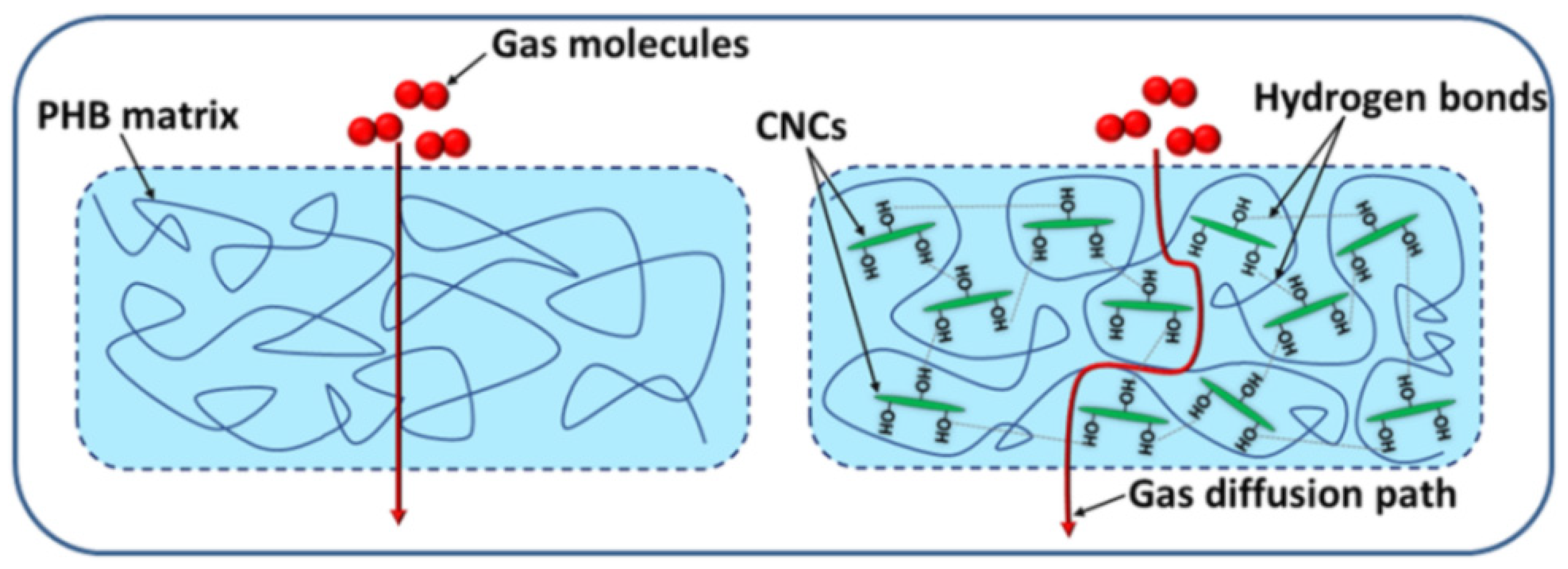 Polymers 14 01974 g005