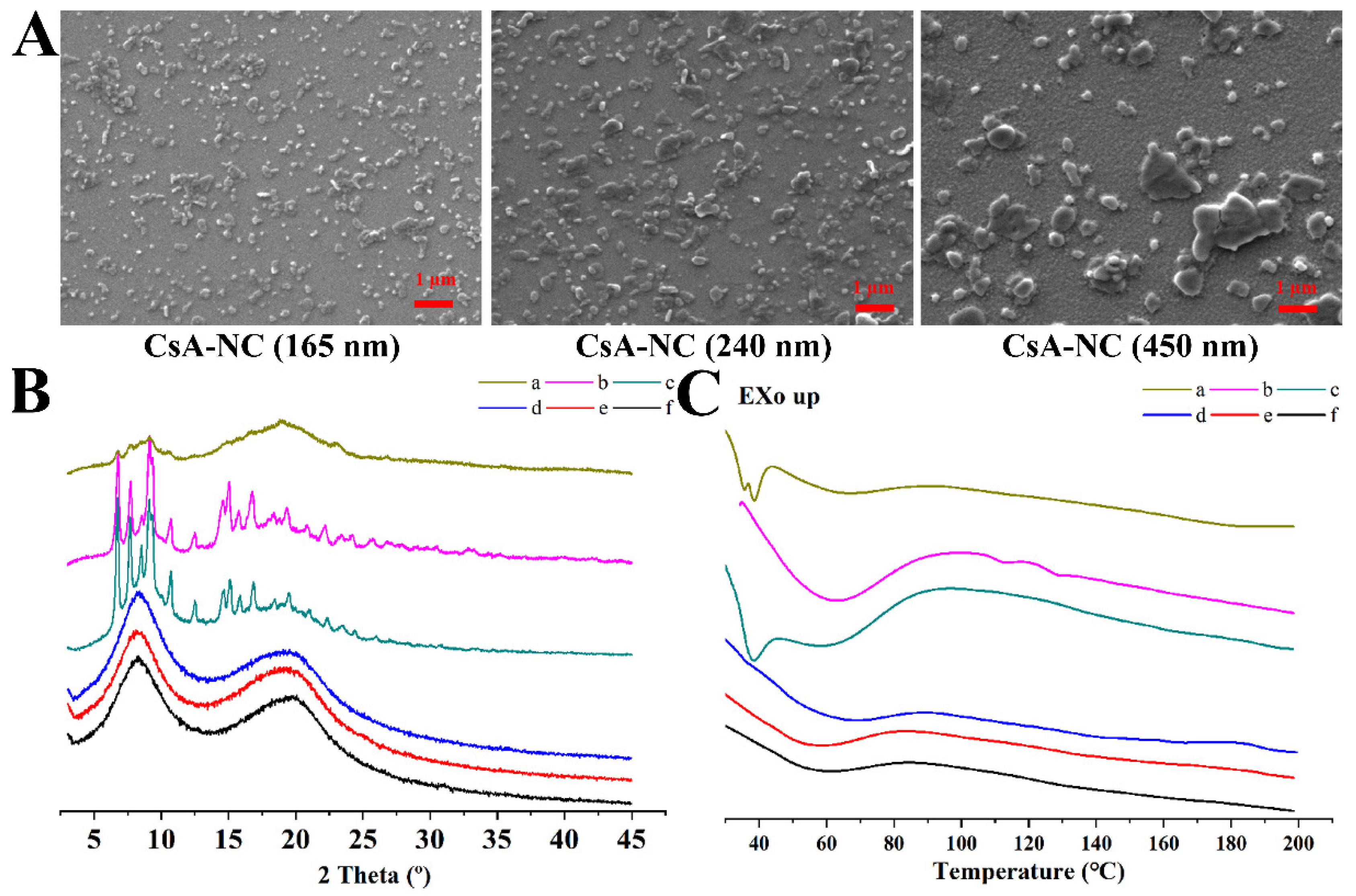 Polymers 14 01975 g002
