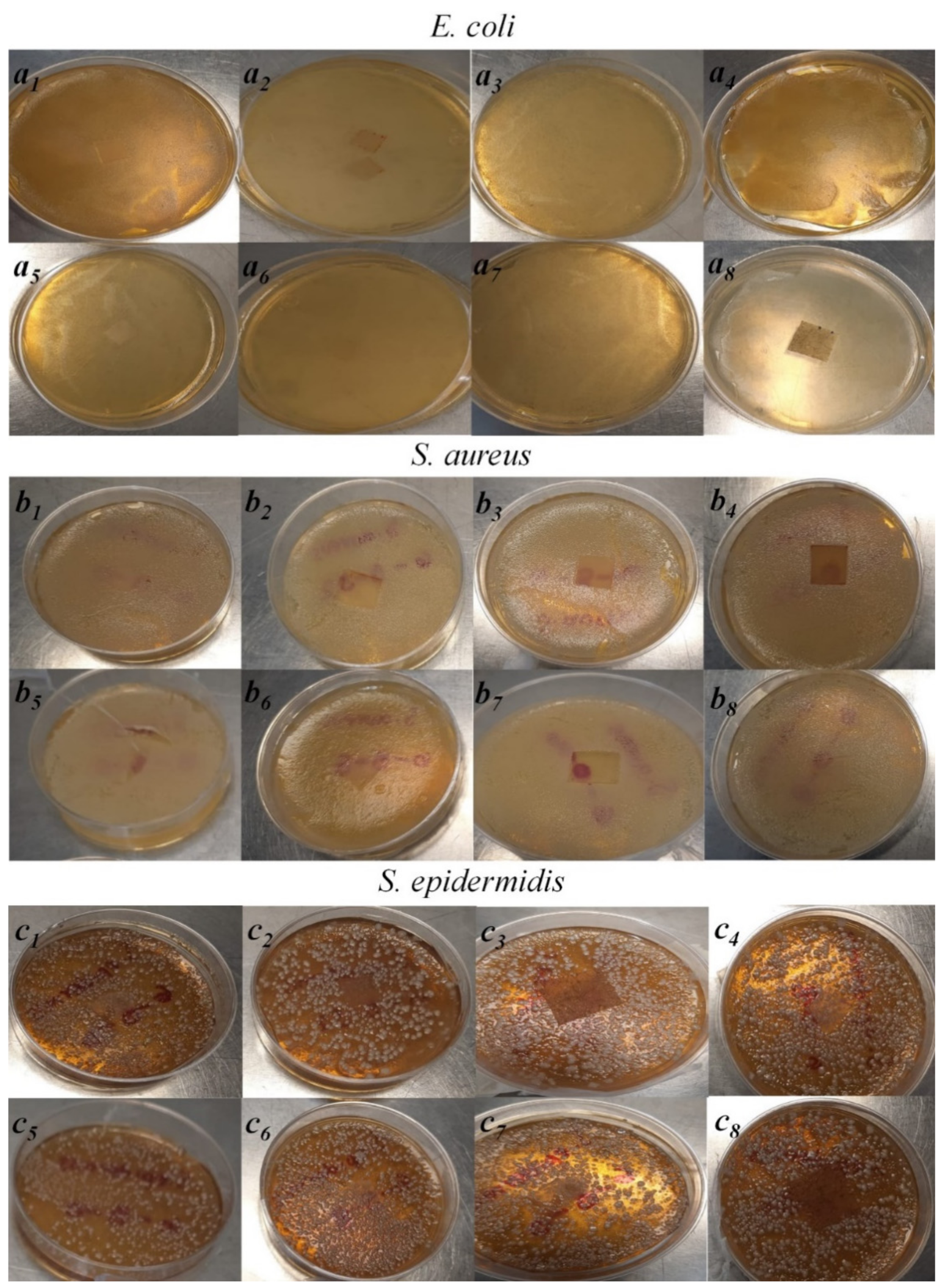 Polymers 14 01981 g009