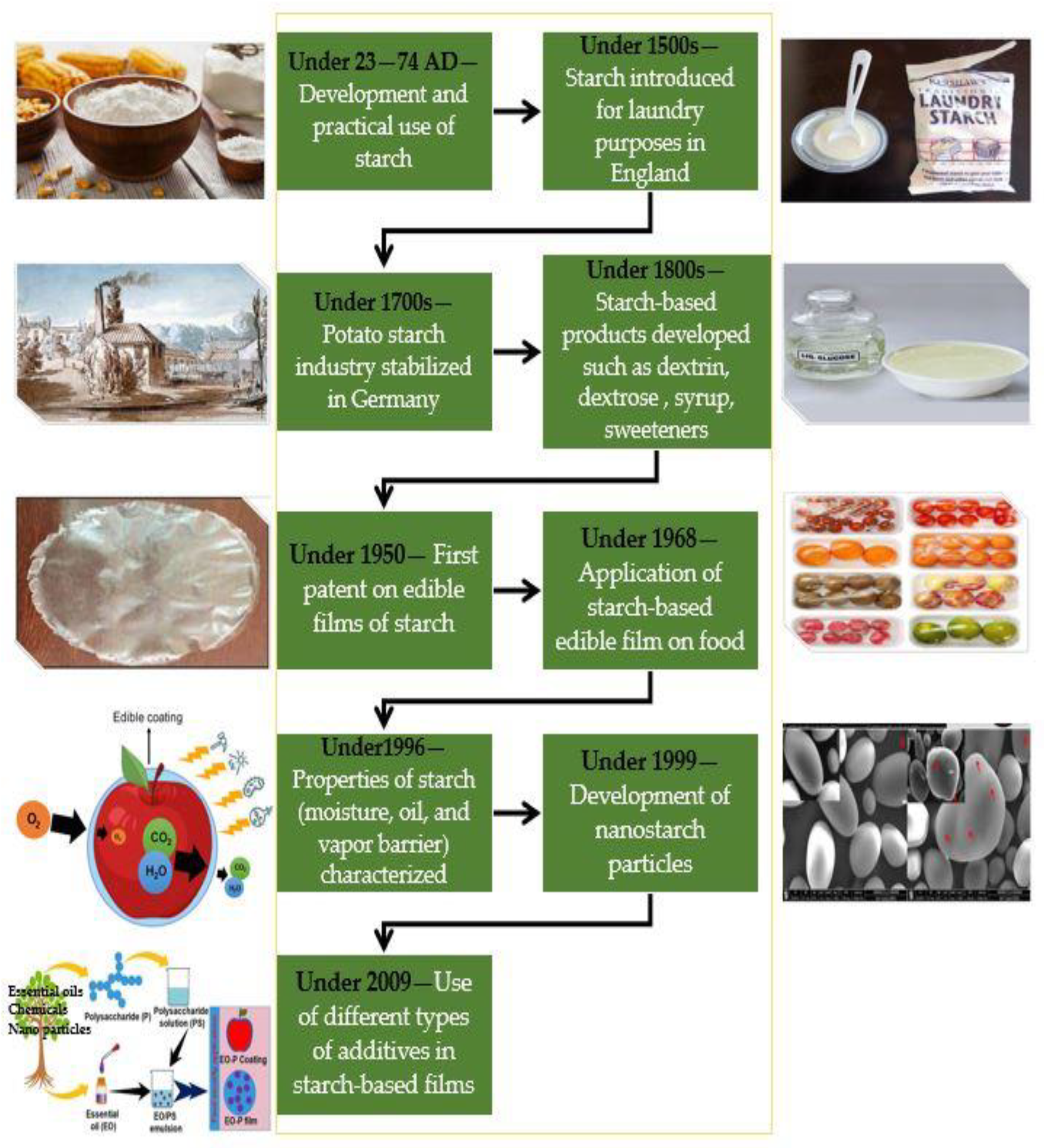 Polymers 14 01987 g001