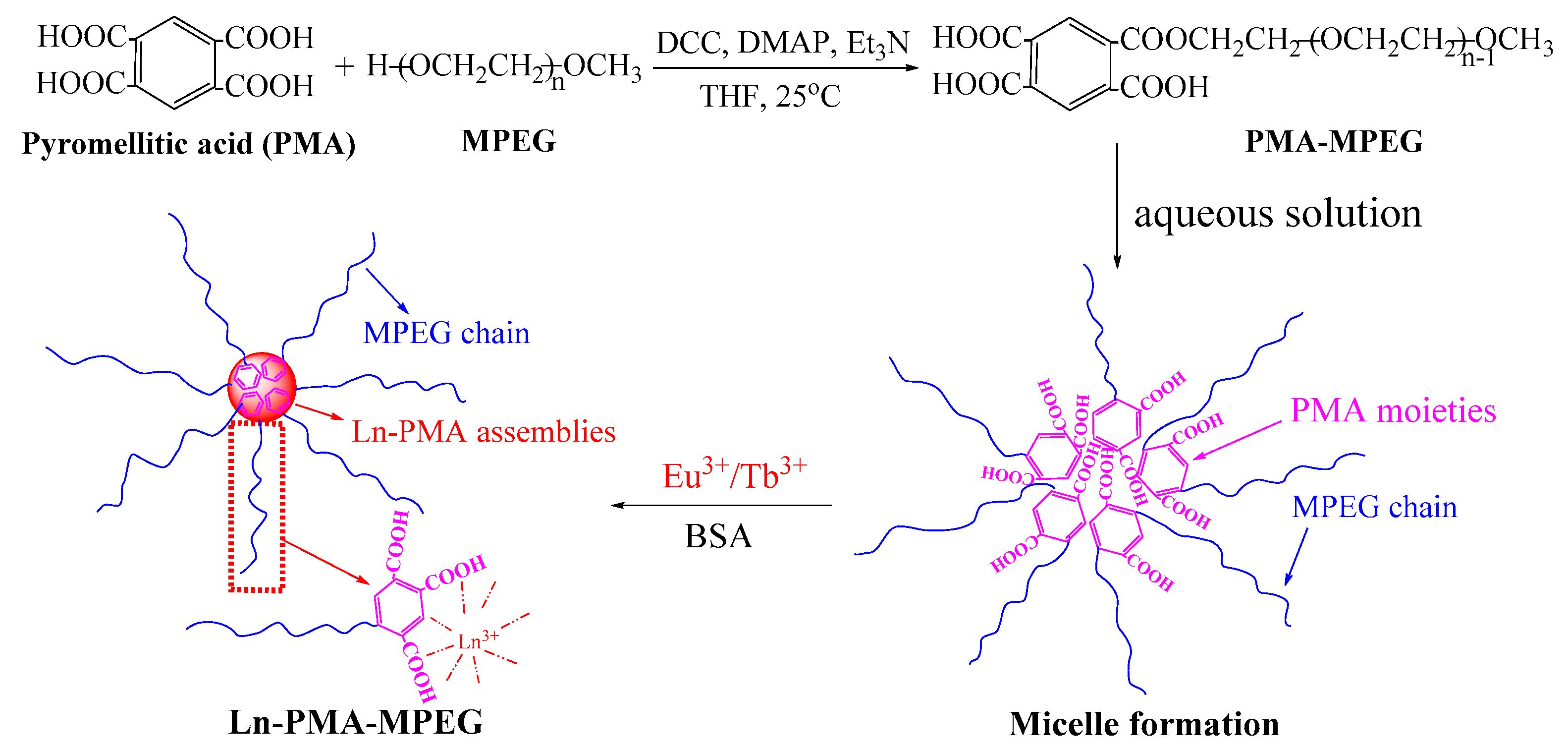 Polymers 14 01997 sch001