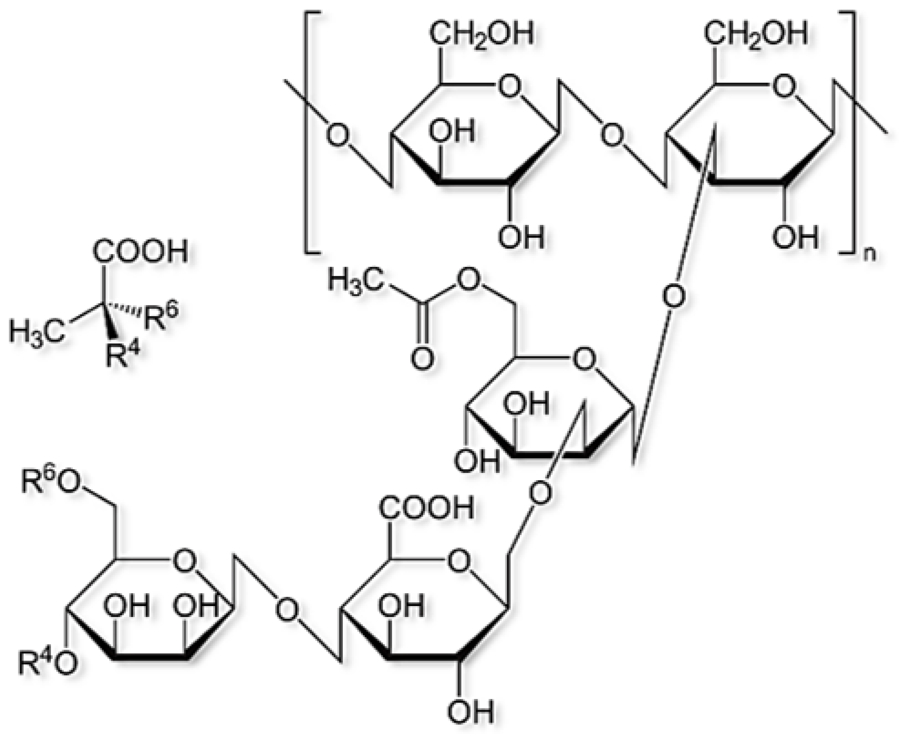 Polymers 14 02001 g009