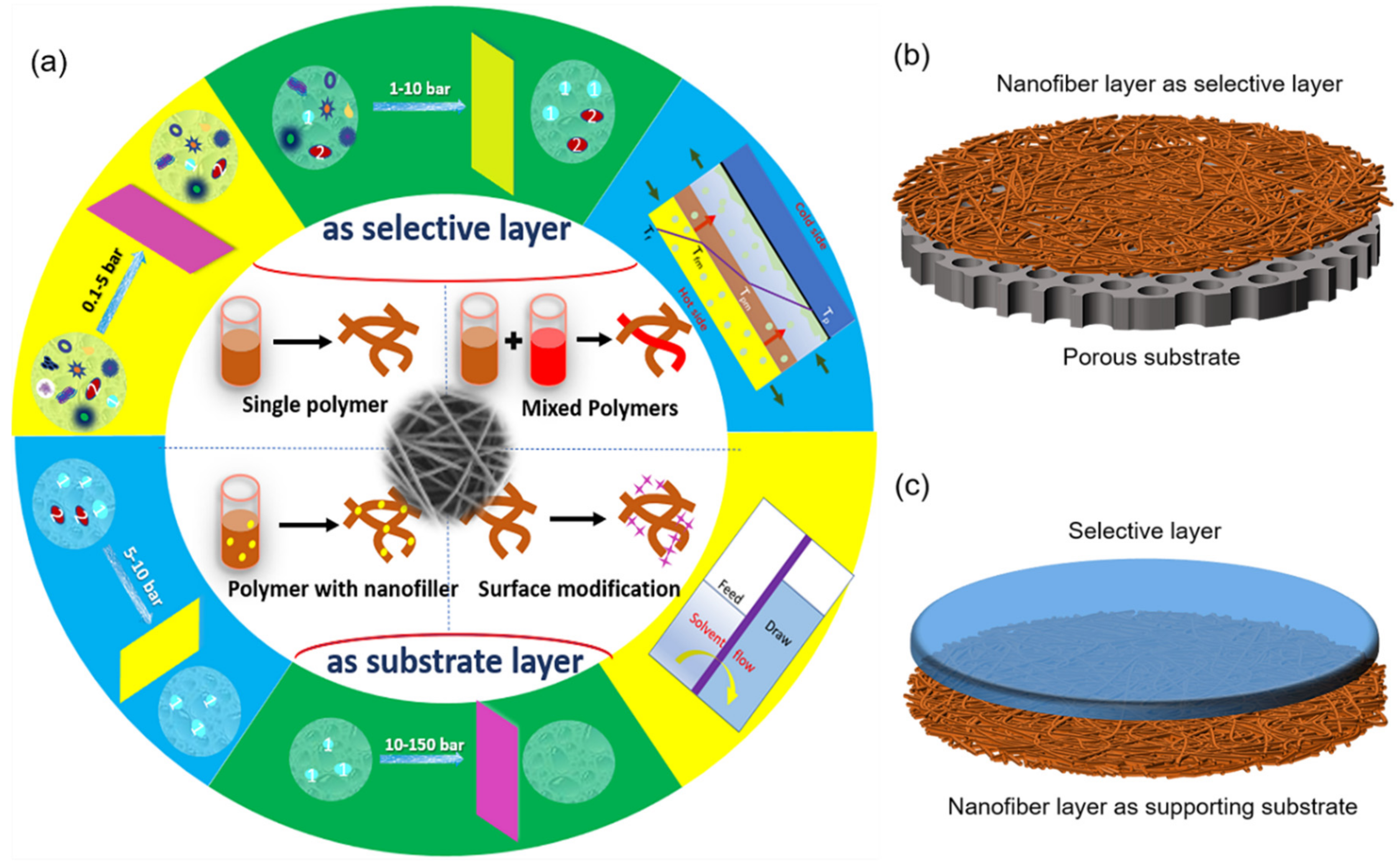 Polymers 14 02004 g001
