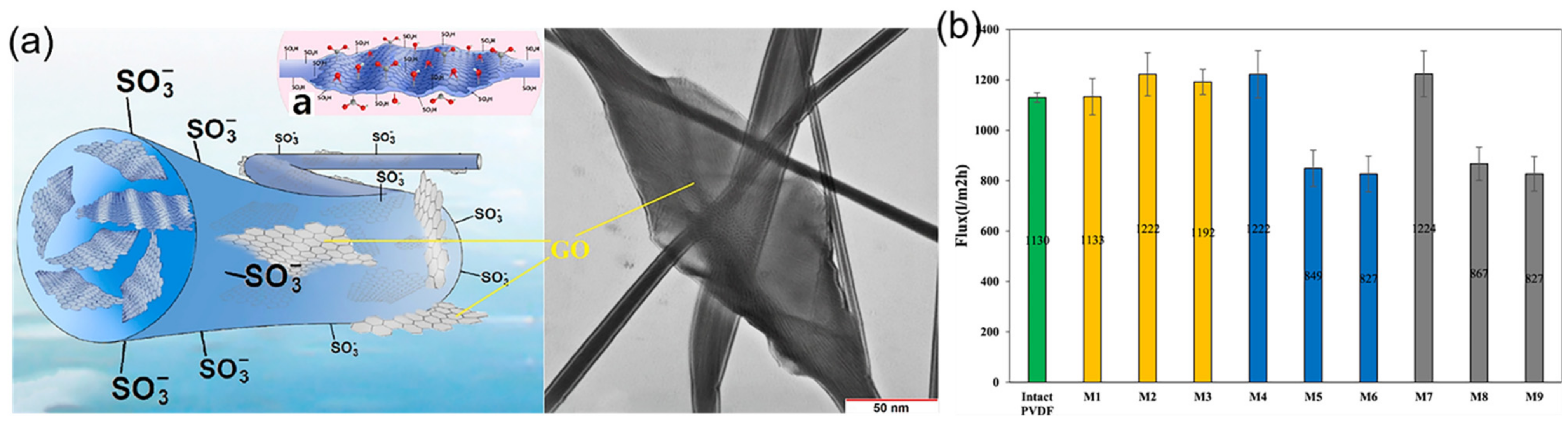 Polymers 14 02004 g006