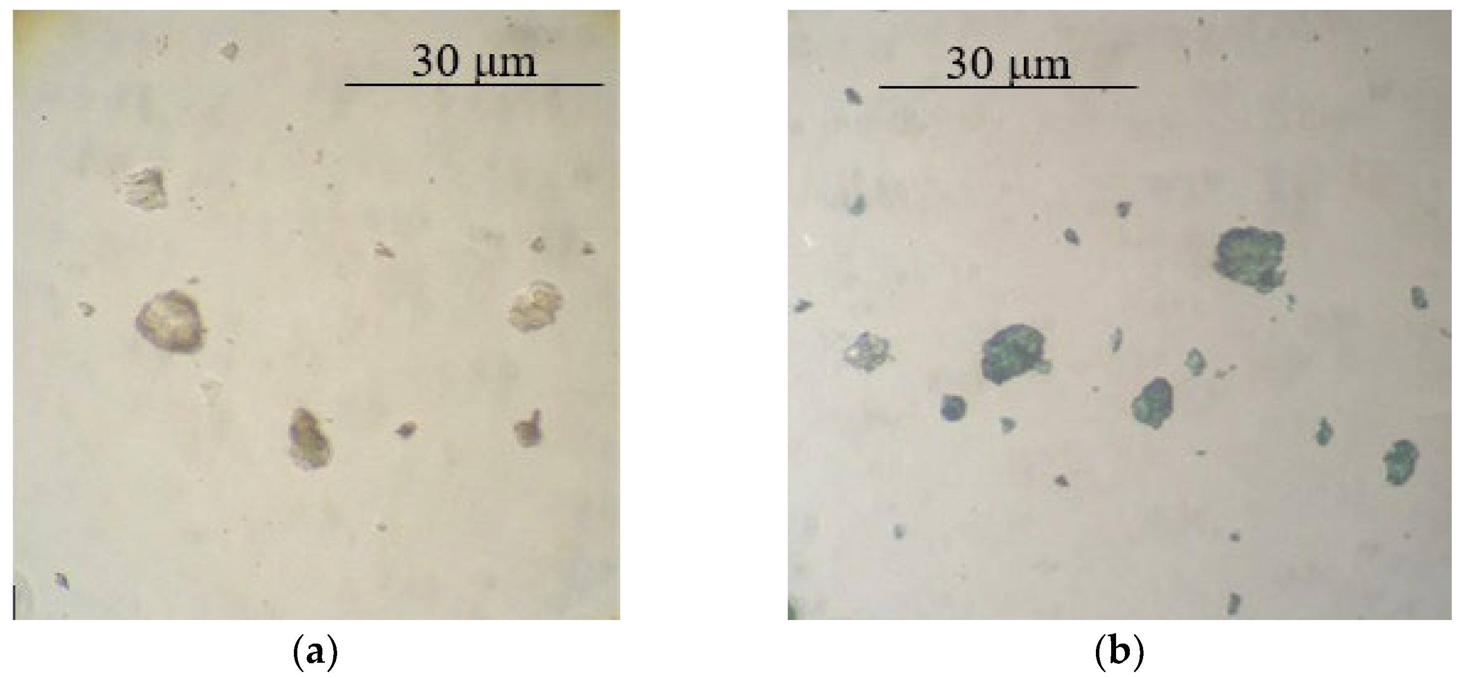 Polymers 14 02005 g001