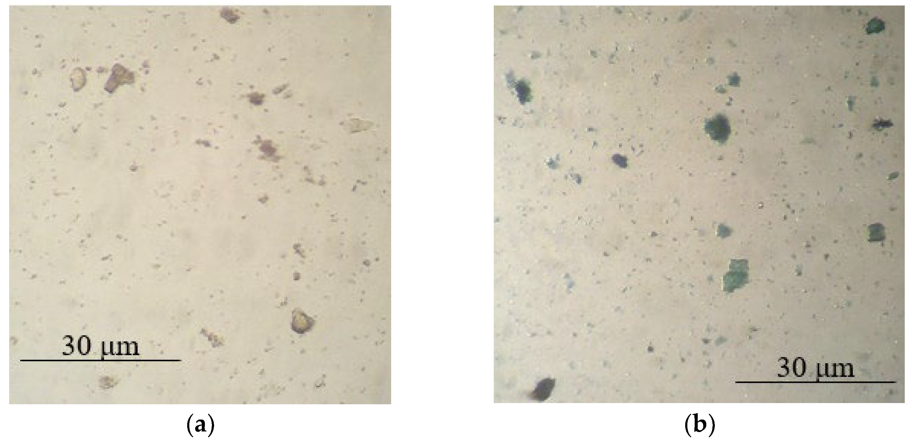 Polymers 14 02005 g002
