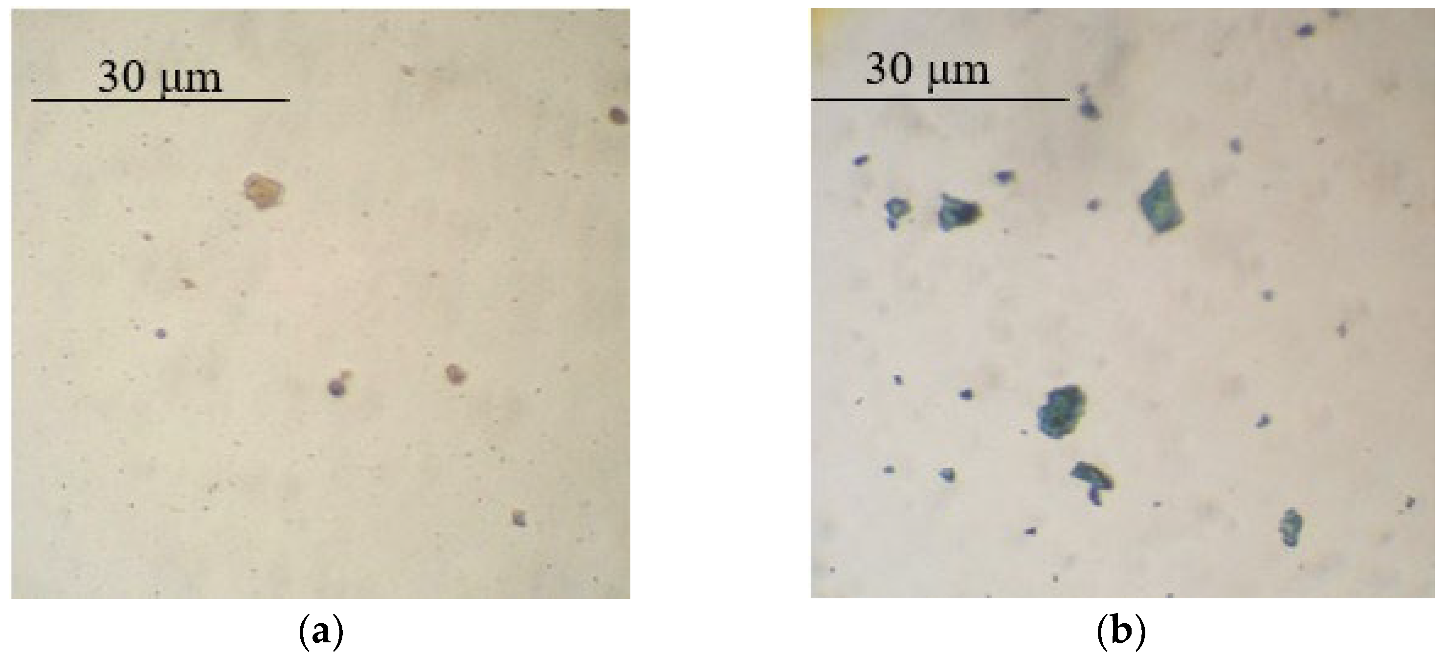 Polymers 14 02005 g003