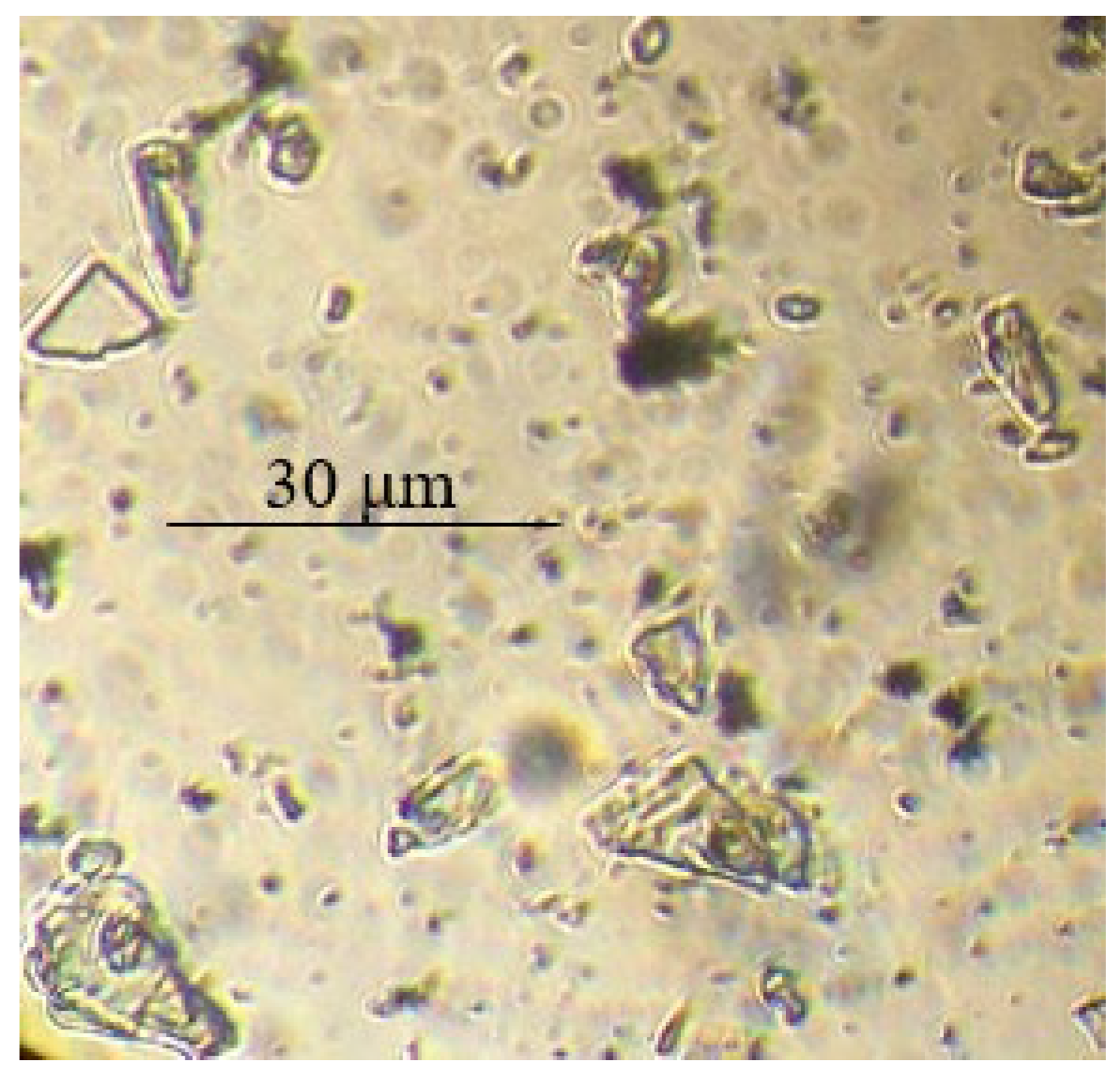 Polymers 14 02005 g004