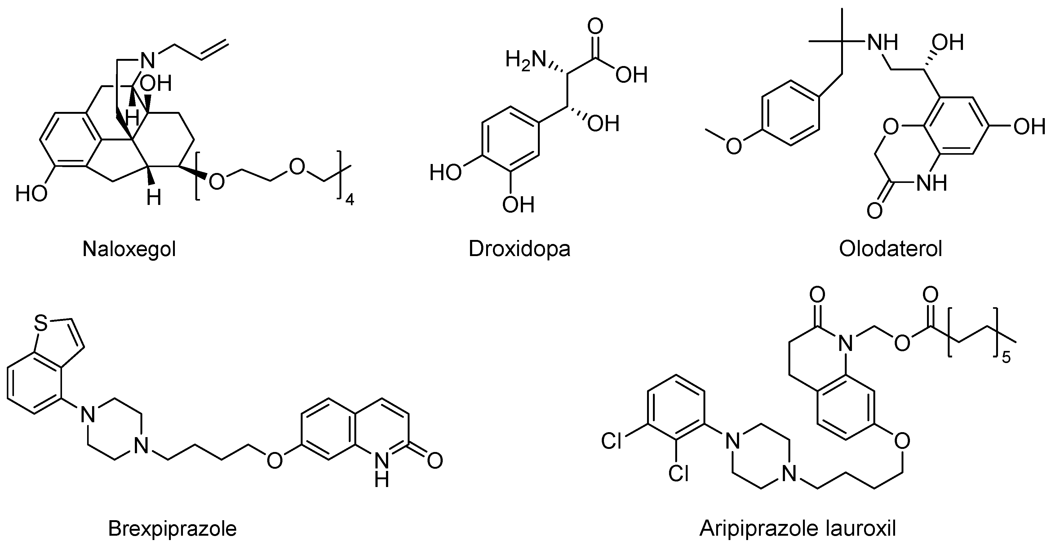 Polymers 14 02021 g001