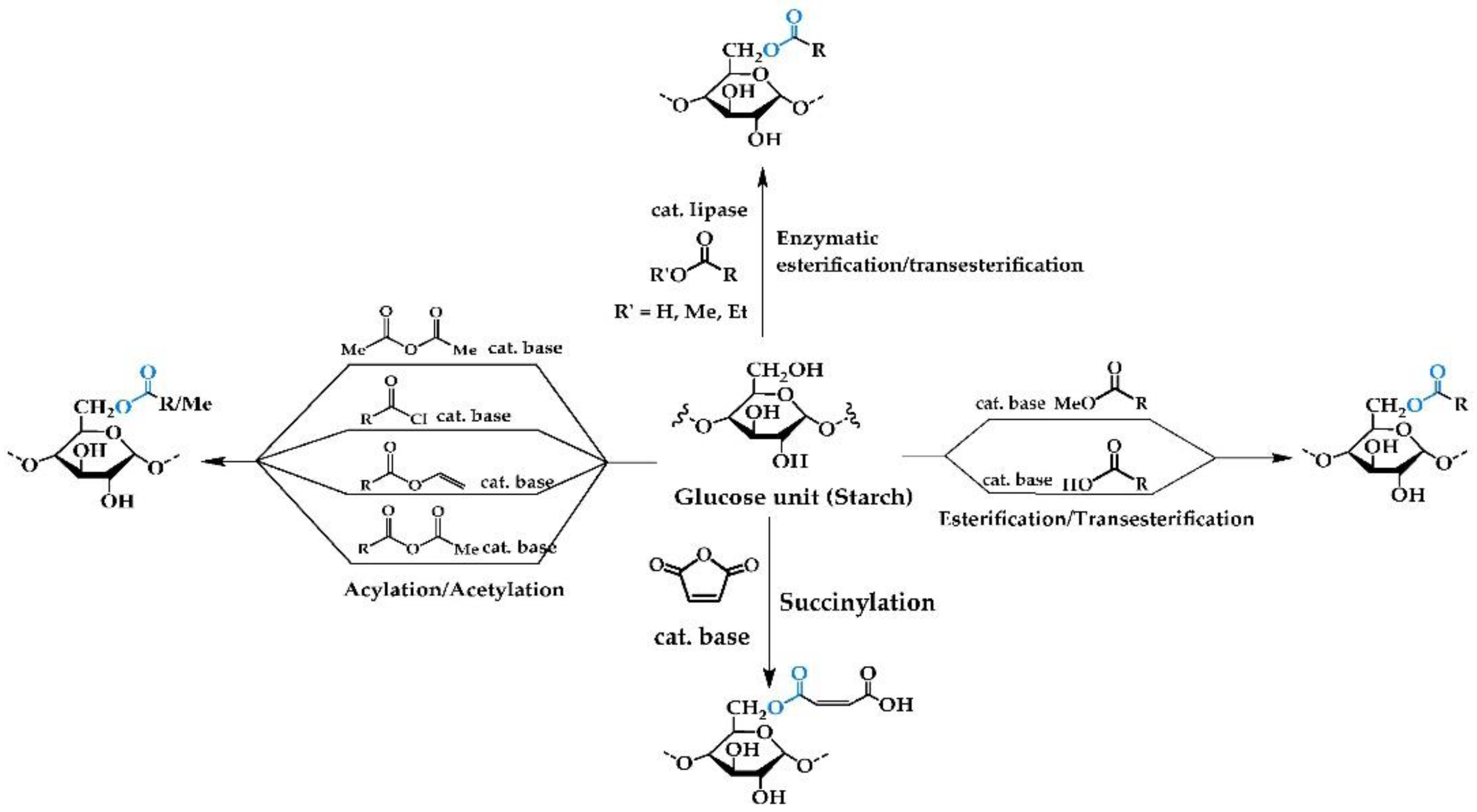 Polymers 14 02023 g001
