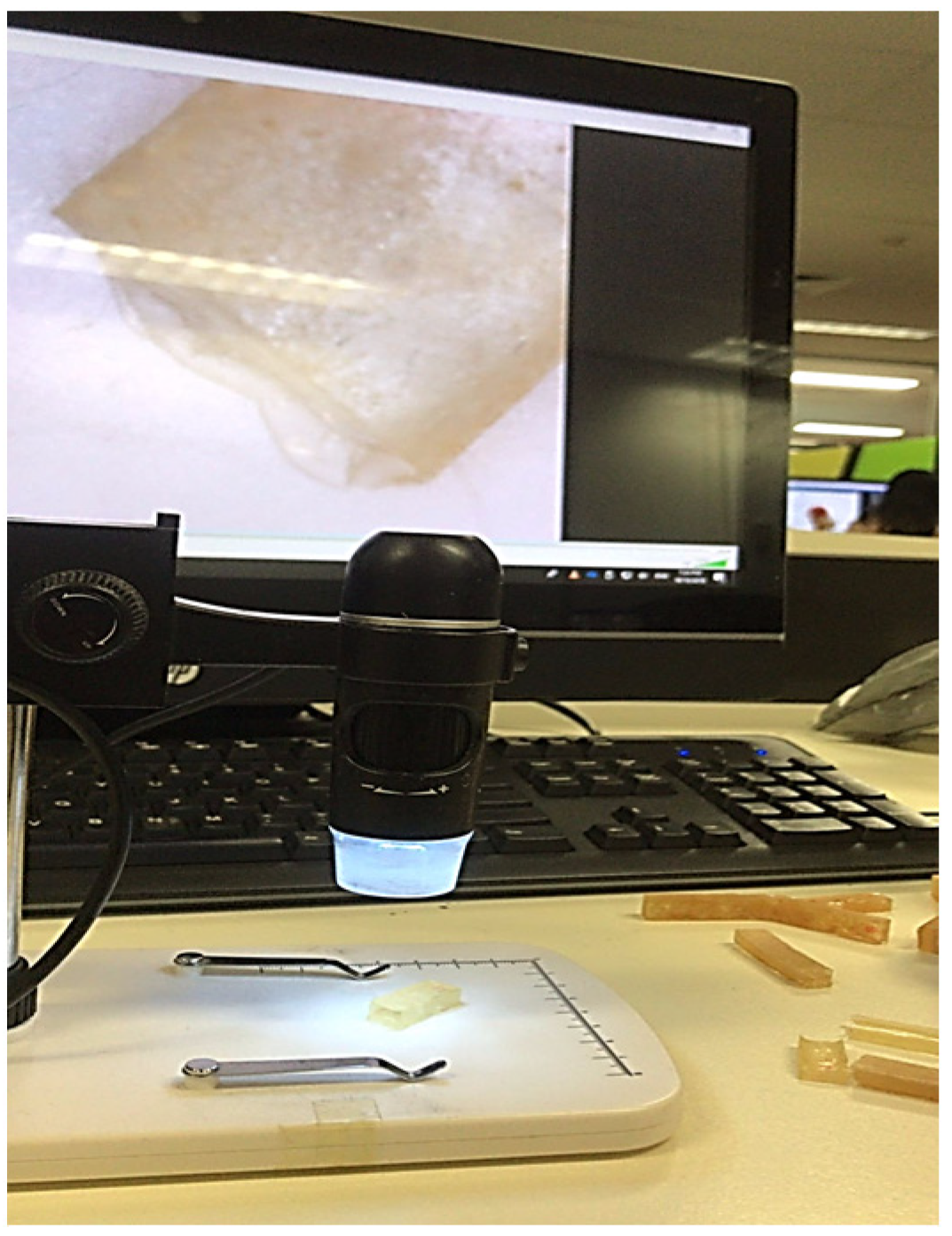 Polymers 14 02024 g007