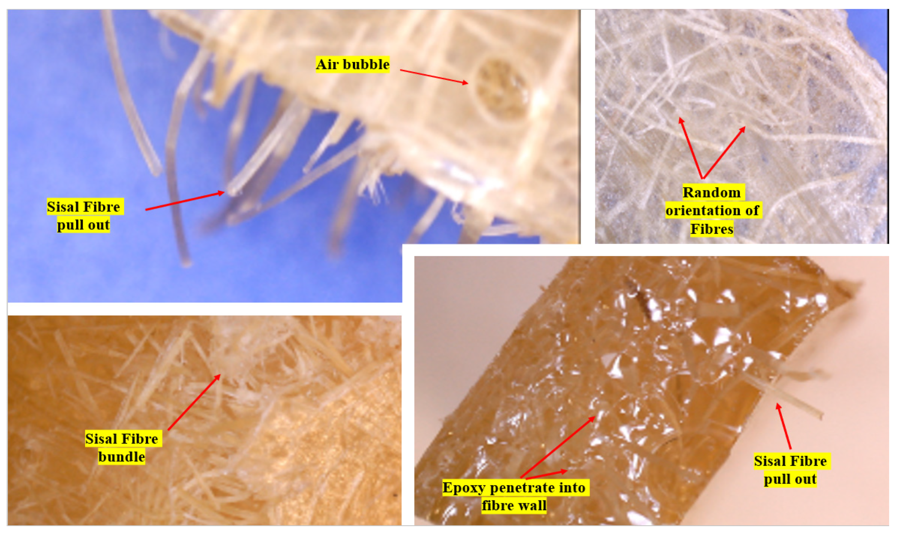 Polymers 14 02024 g021