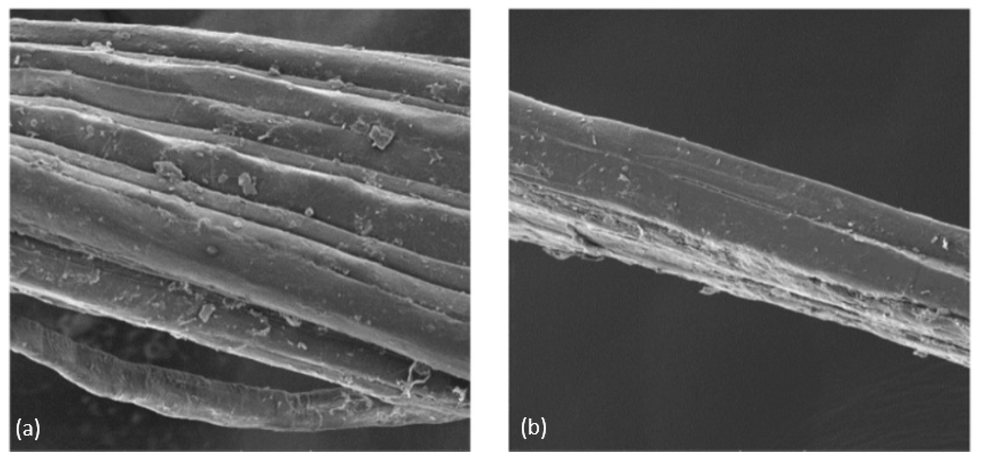 Polymers 14 02024 g022