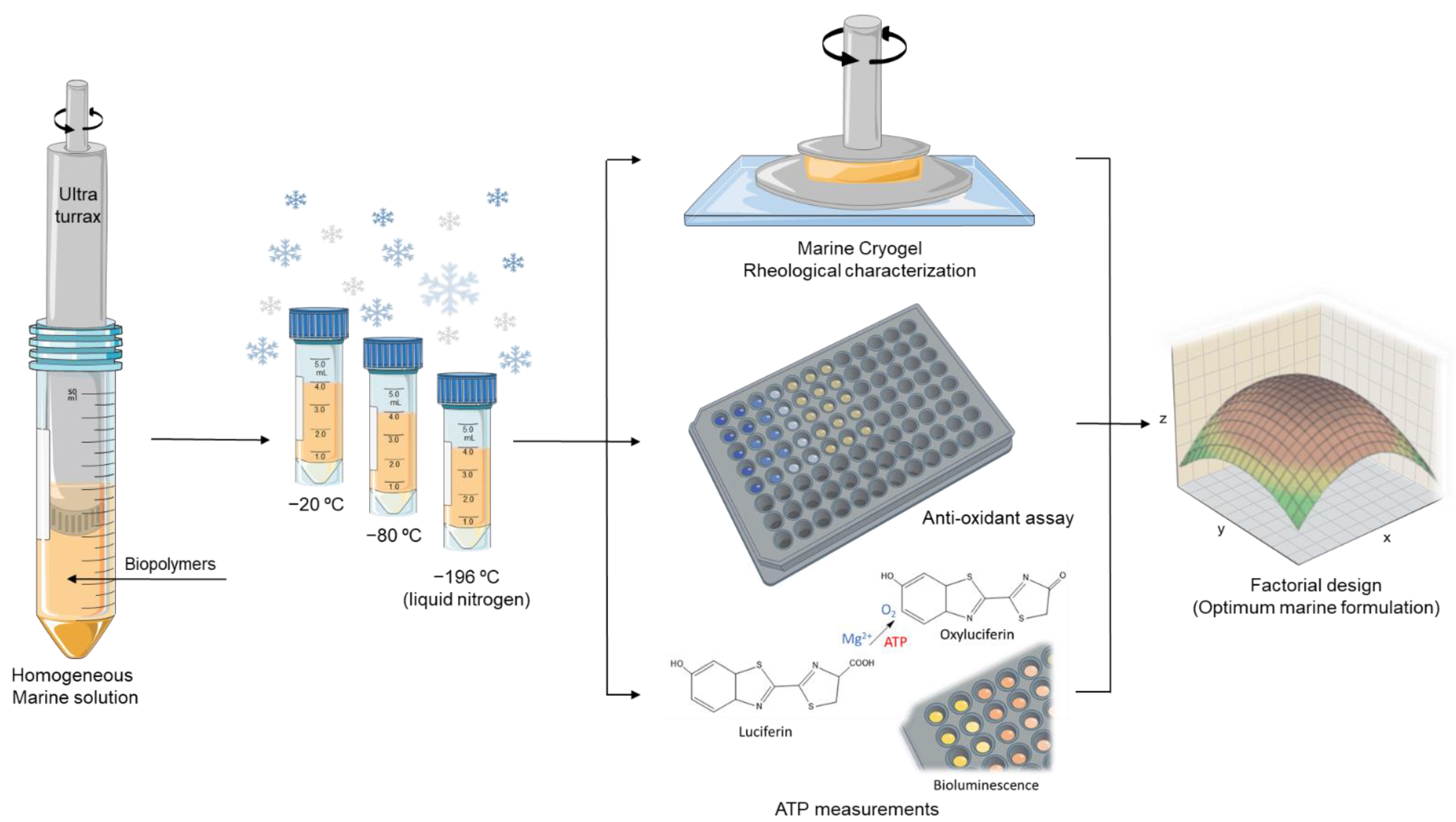 Polymers 14 02026 g002