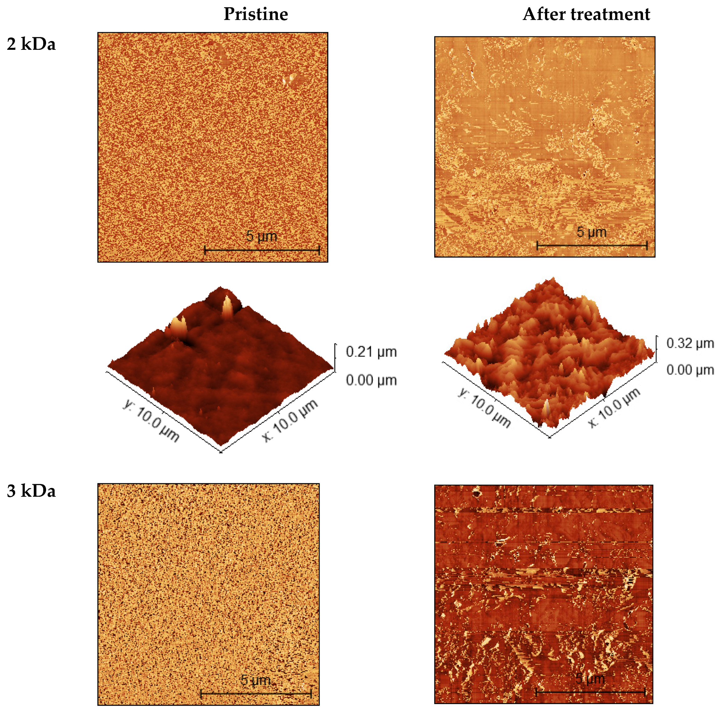 Polymers 14 02035 g002a