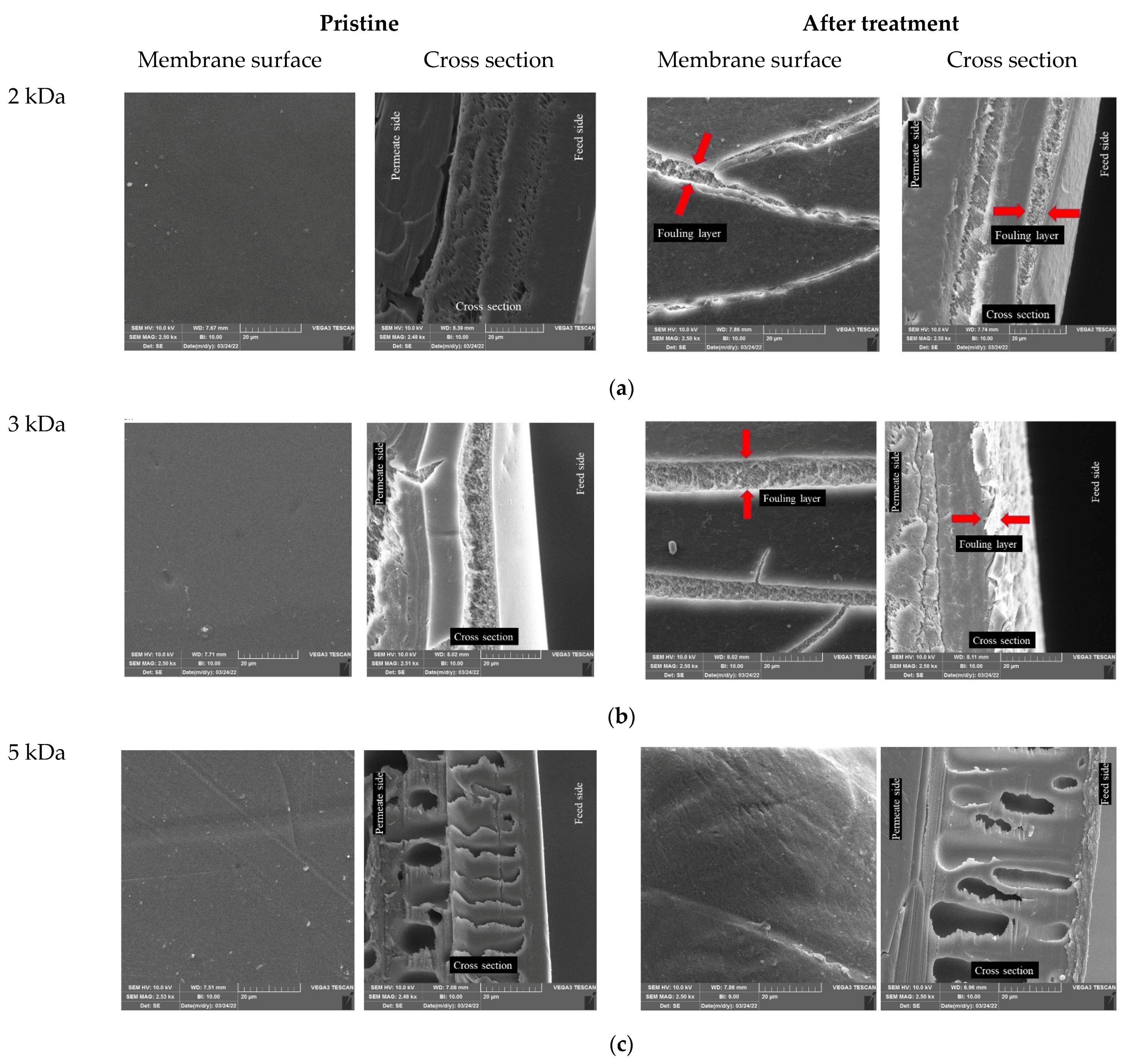 Polymers 14 02035 g003a