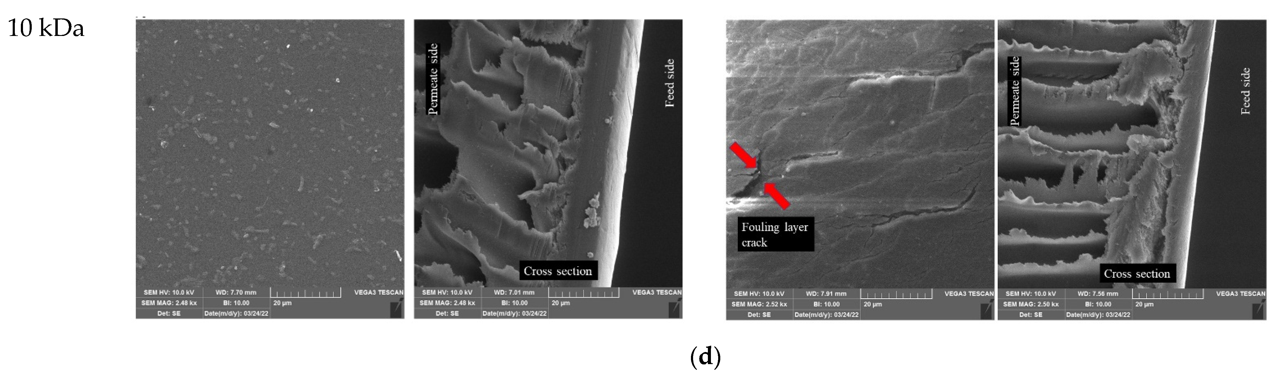 Polymers 14 02035 g003b