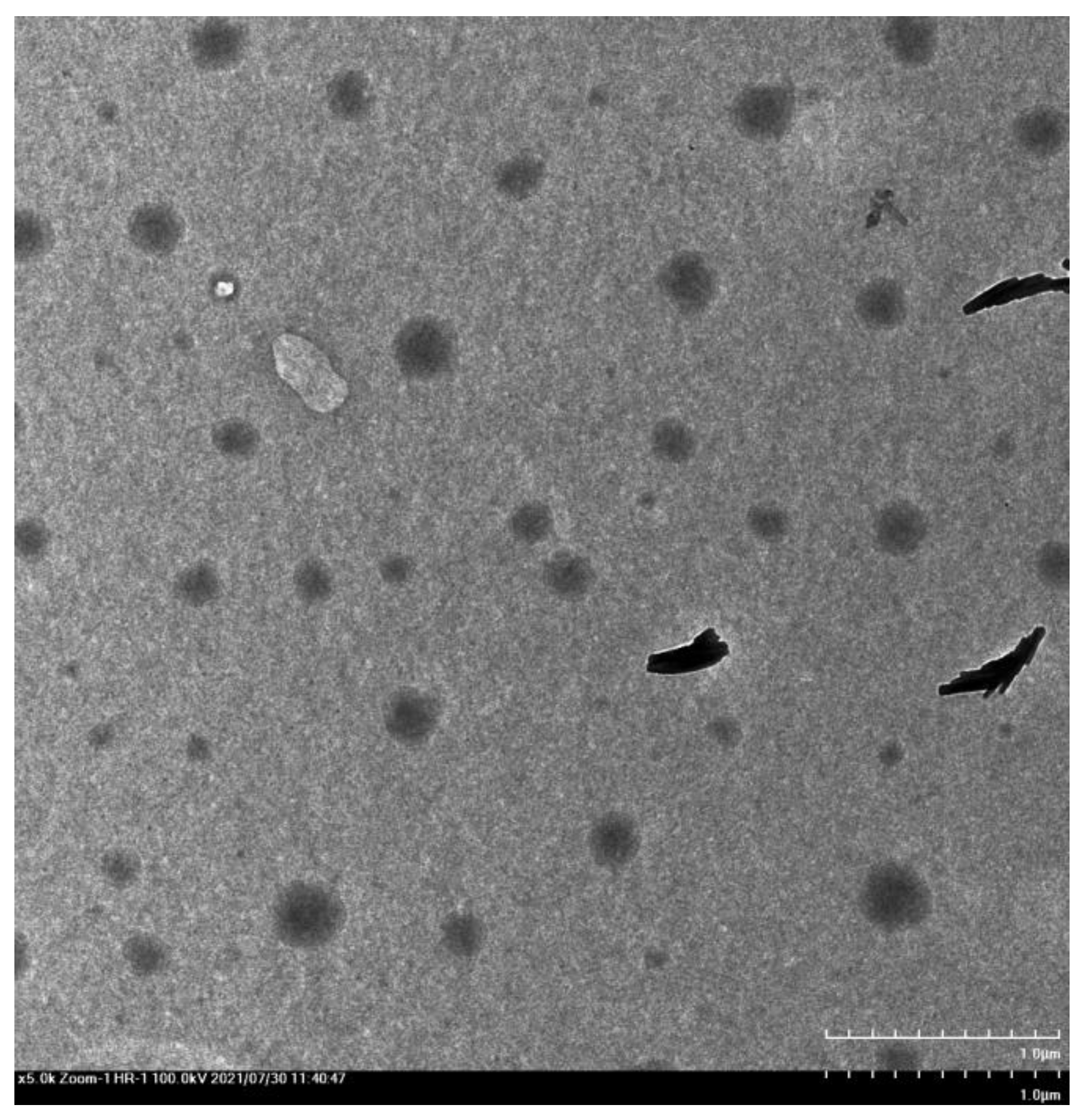 Polymers 14 02037 g007