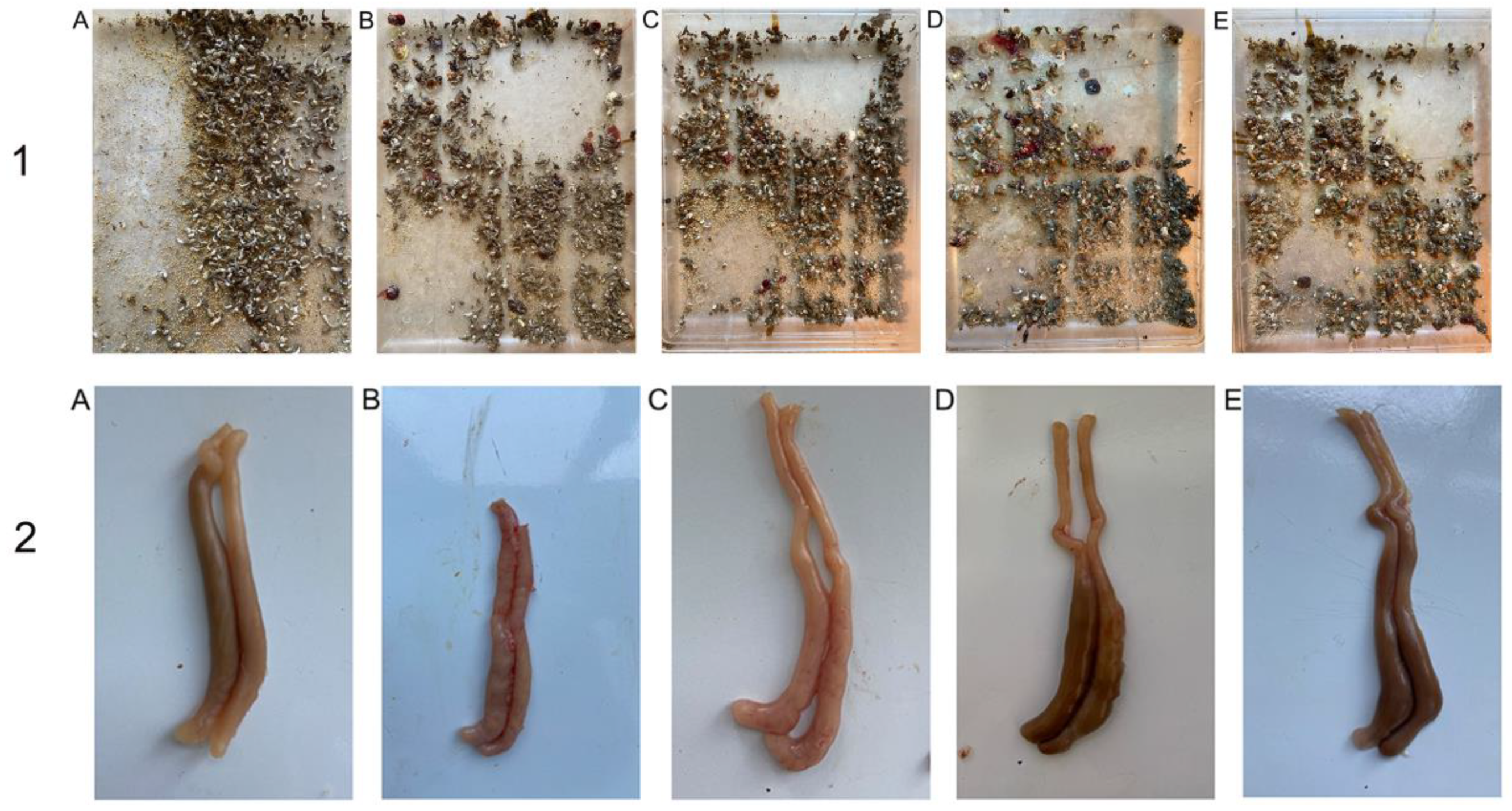 Polymers 14 02037 g014