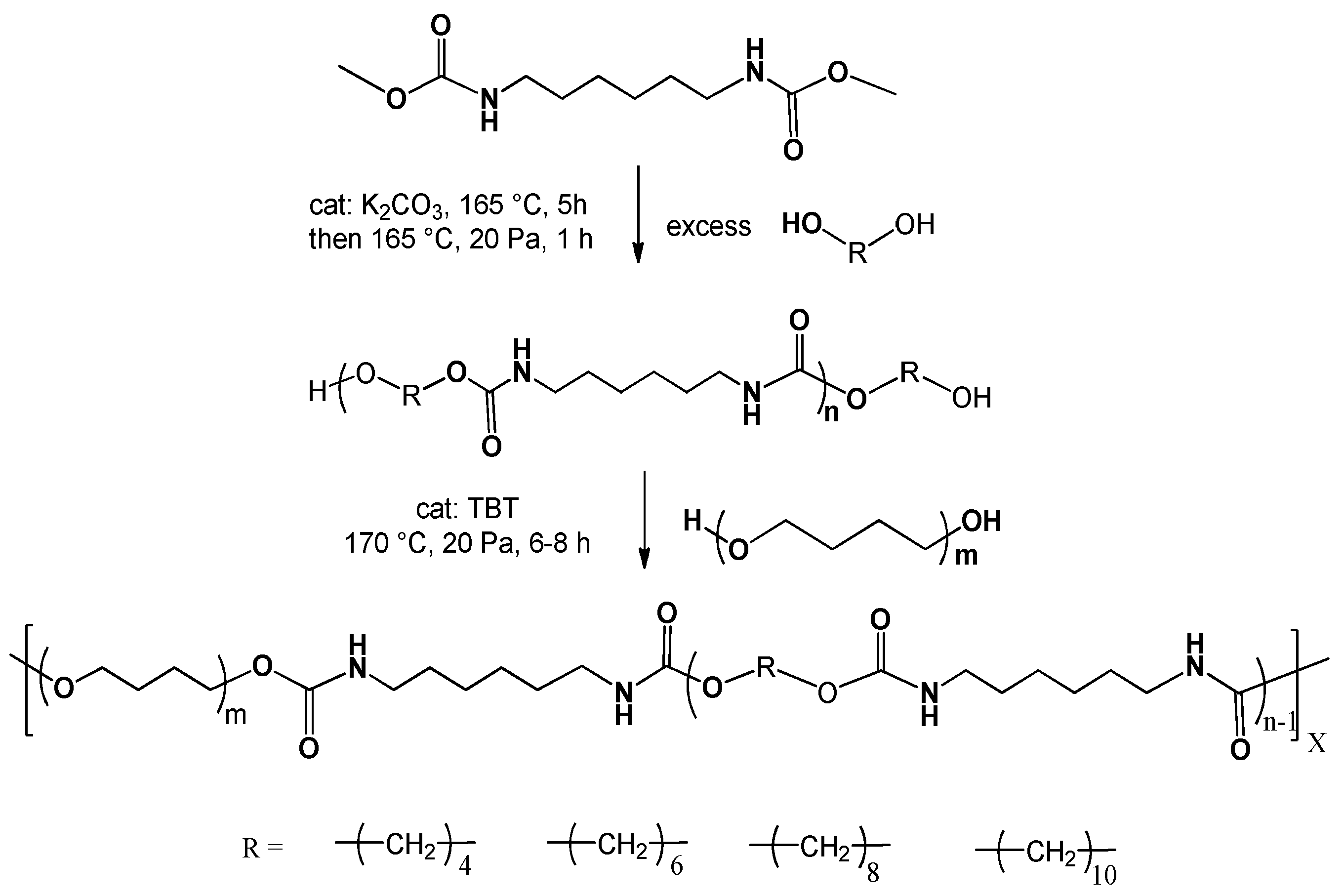 Polymers 14 02039 g001