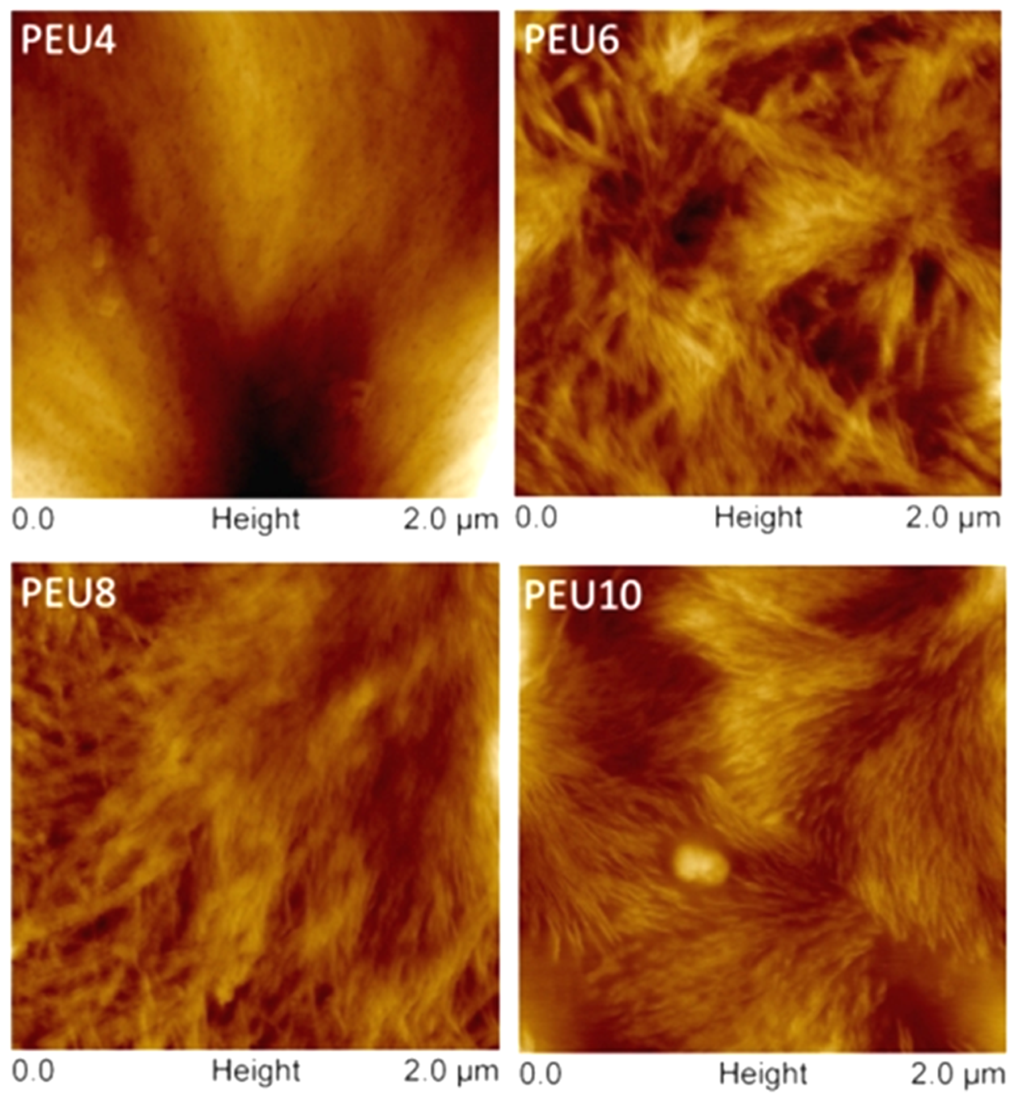 Polymers 14 02039 g010
