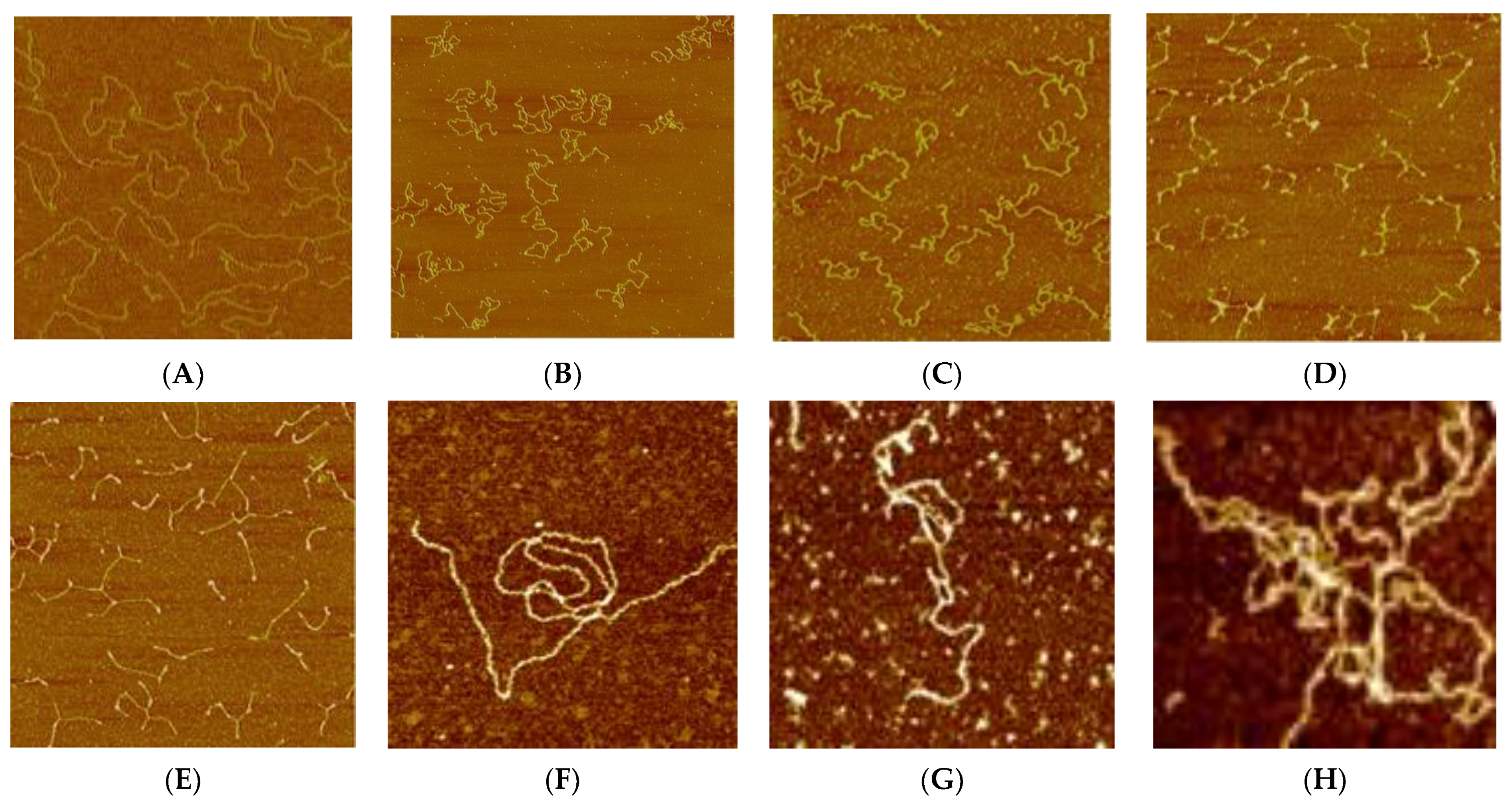 Polymers 14 02044 g010 Polymers 14 02044 g010