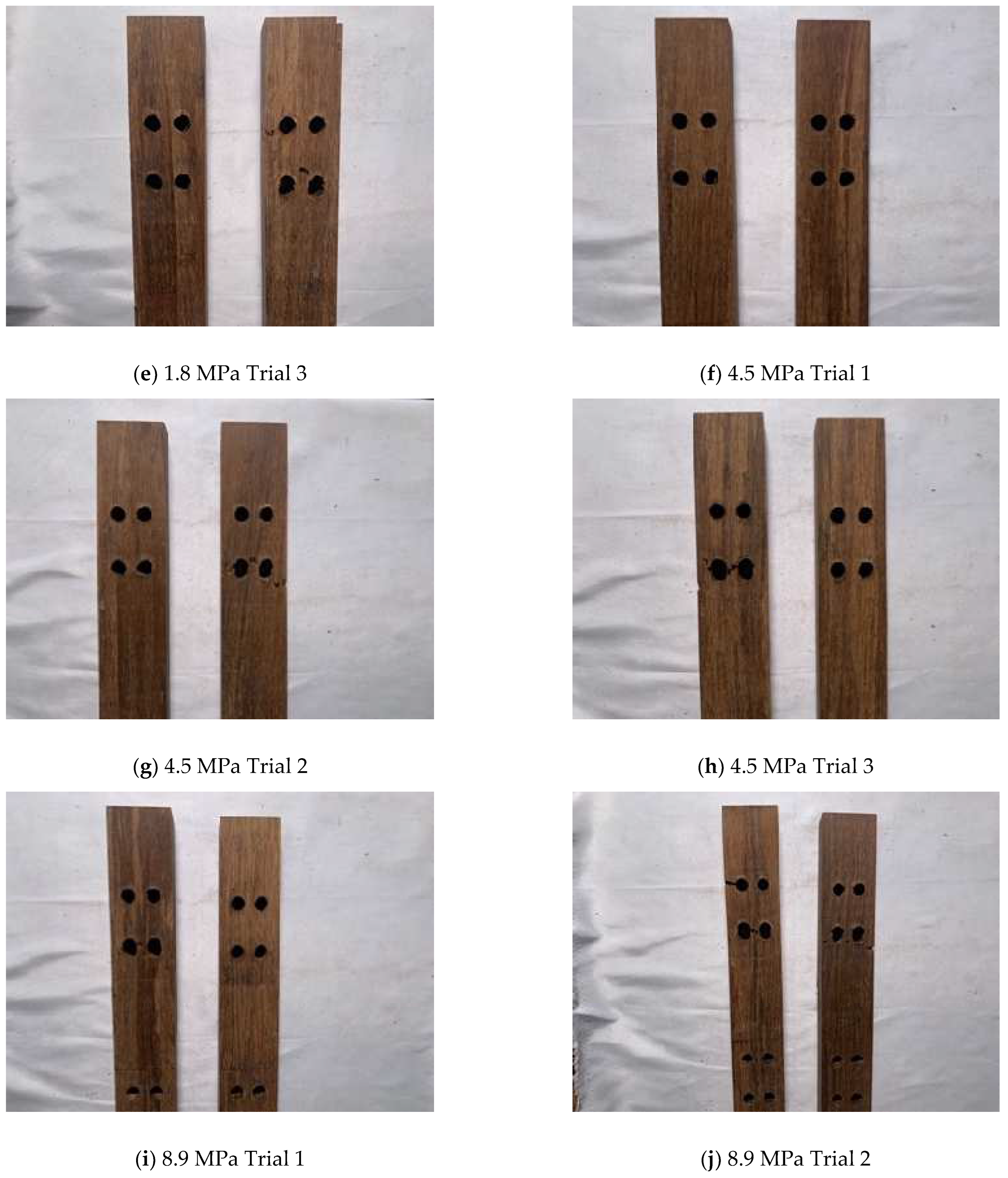 Polymers 14 02051 g012b