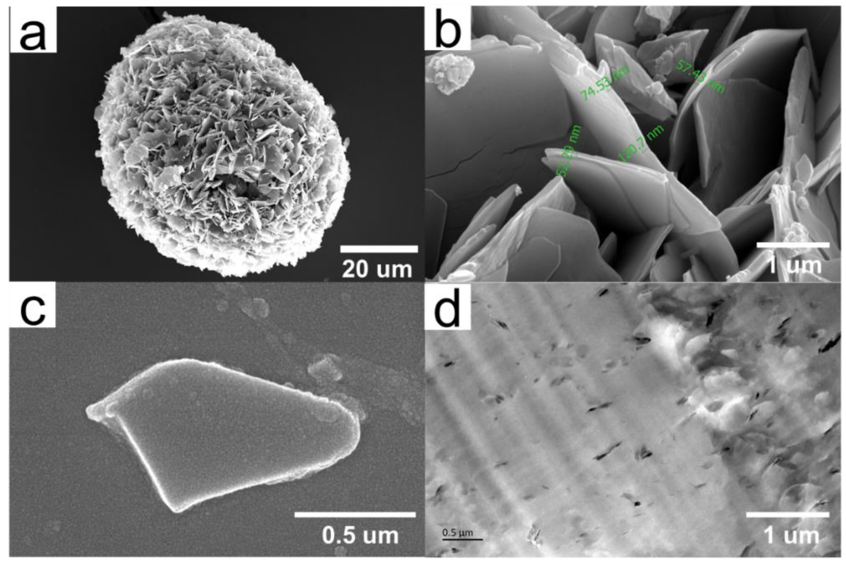 Polymers 14 02055 g004