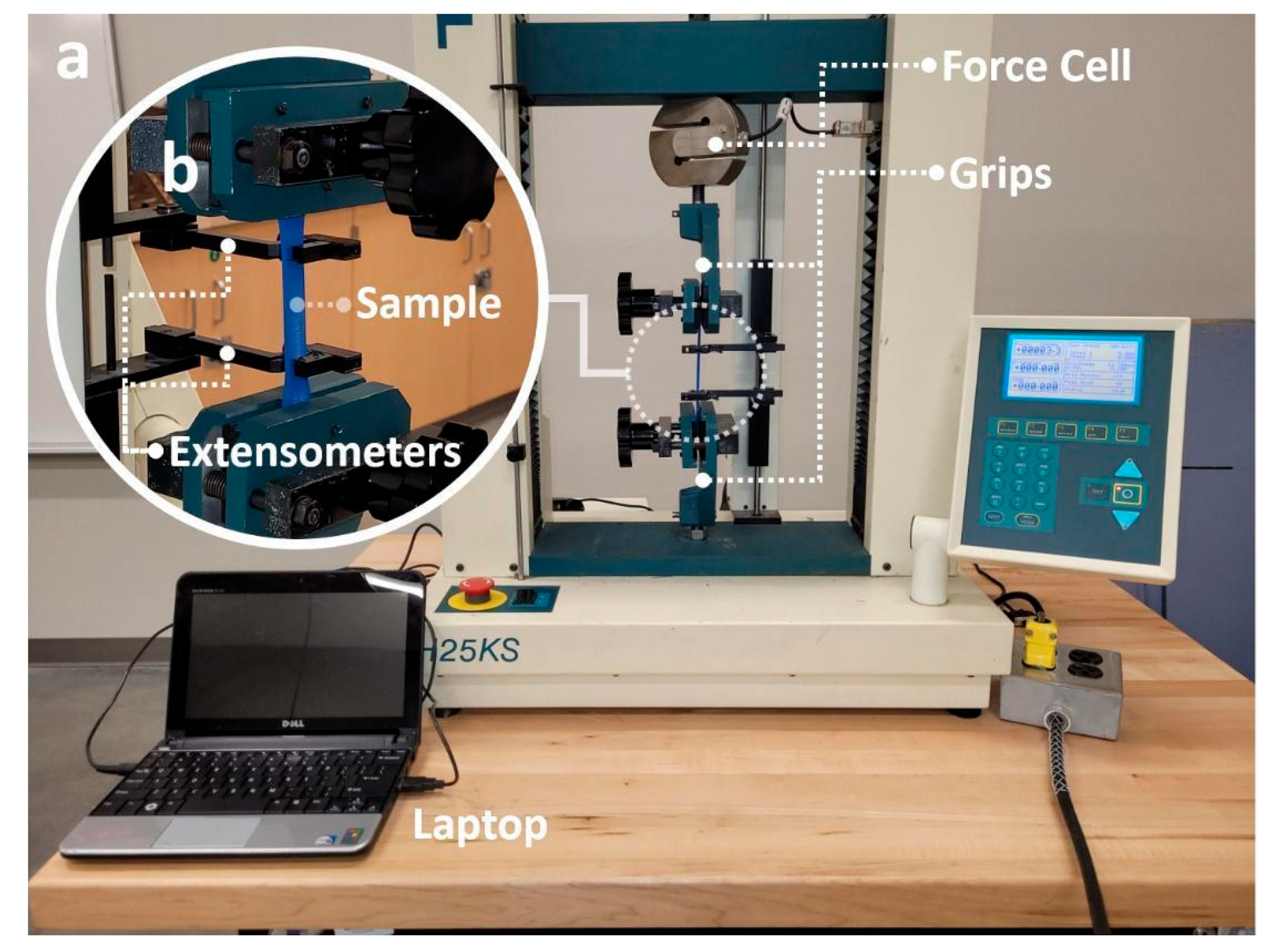 Polymers 14 02071 g003
