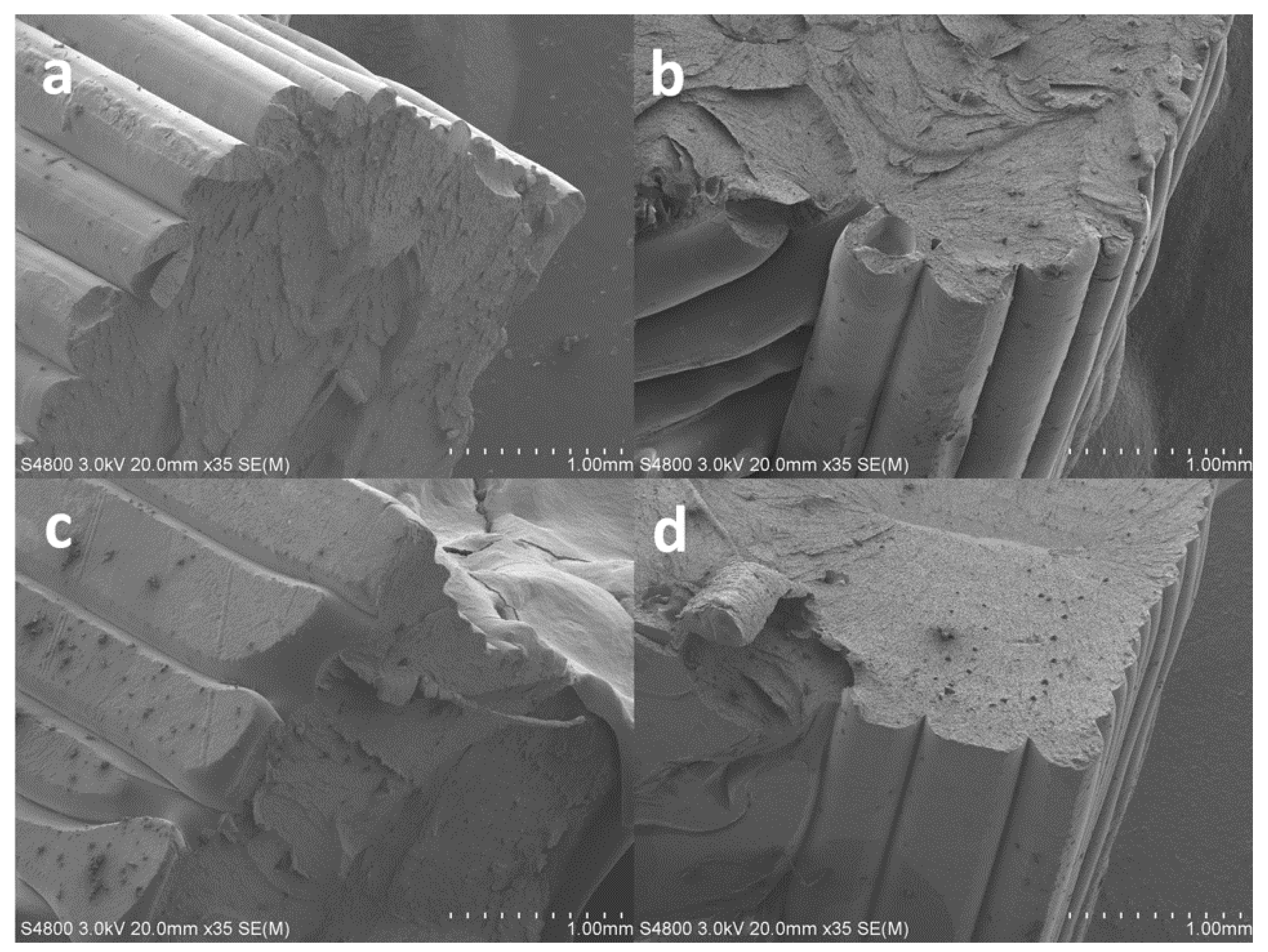 Polymers 14 02071 g011