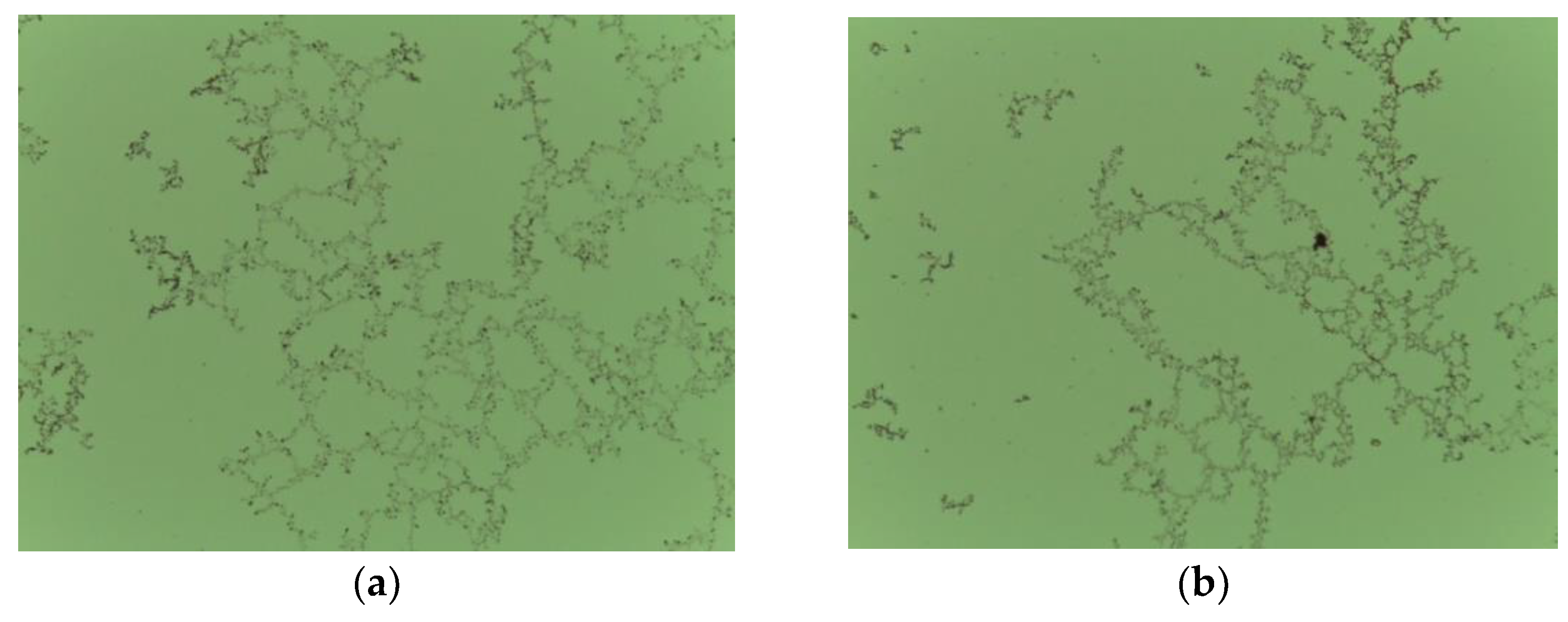 Polymers 14 02085 g008