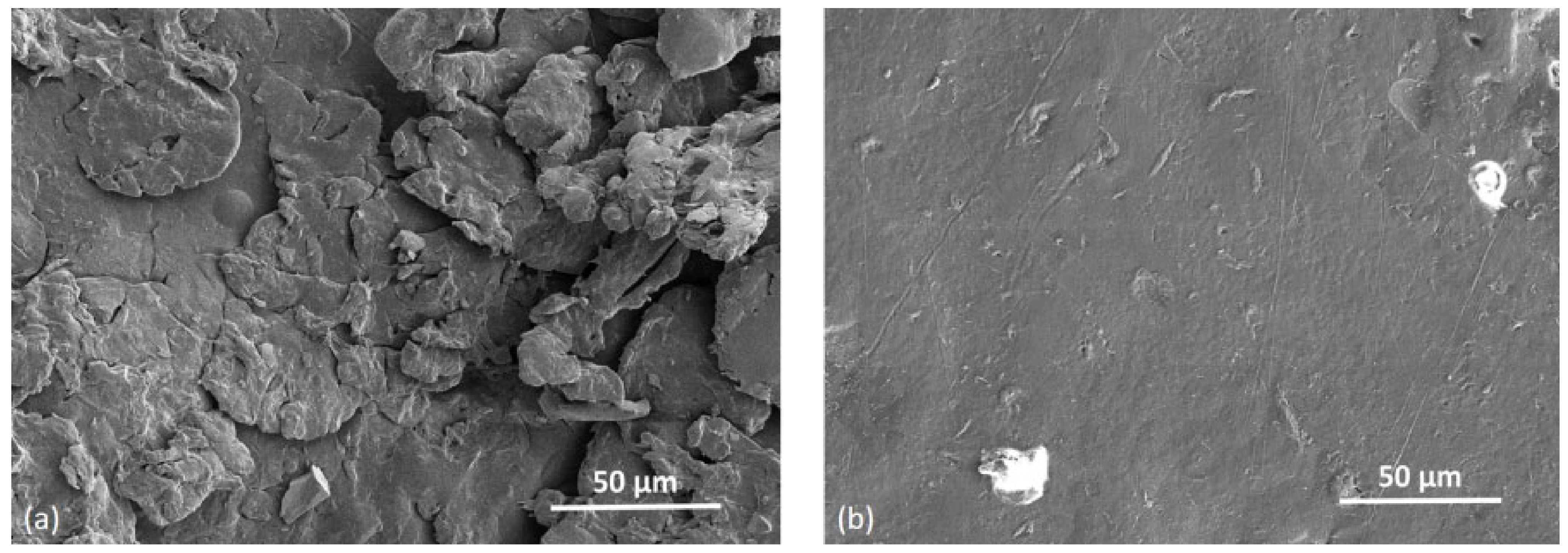 Polymers 14 02095 g012