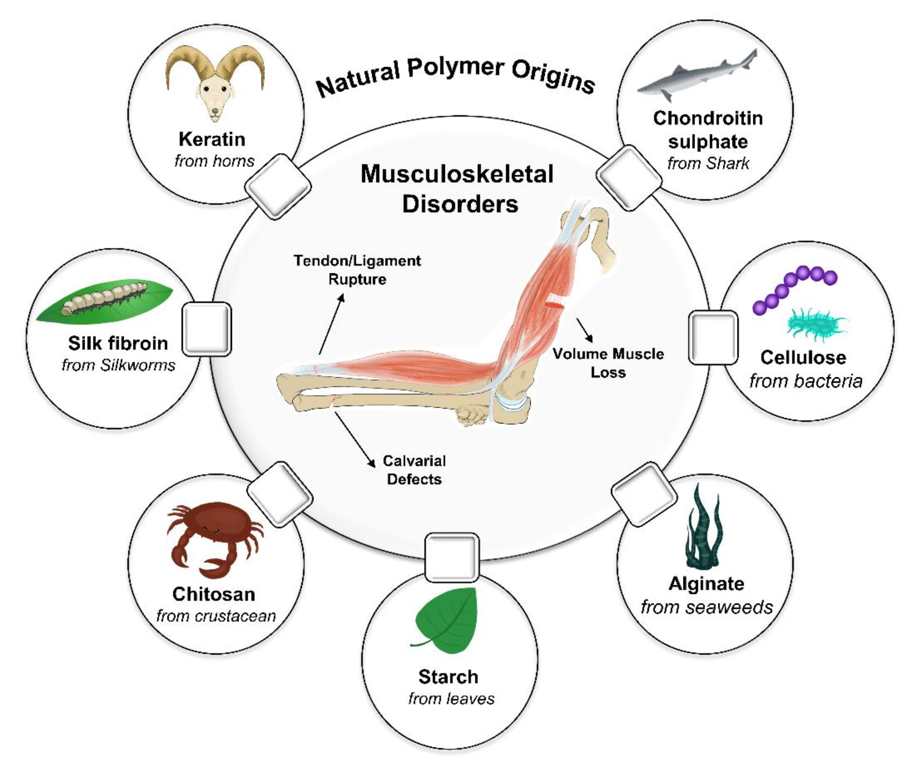 Polymers 14 02097 g001
