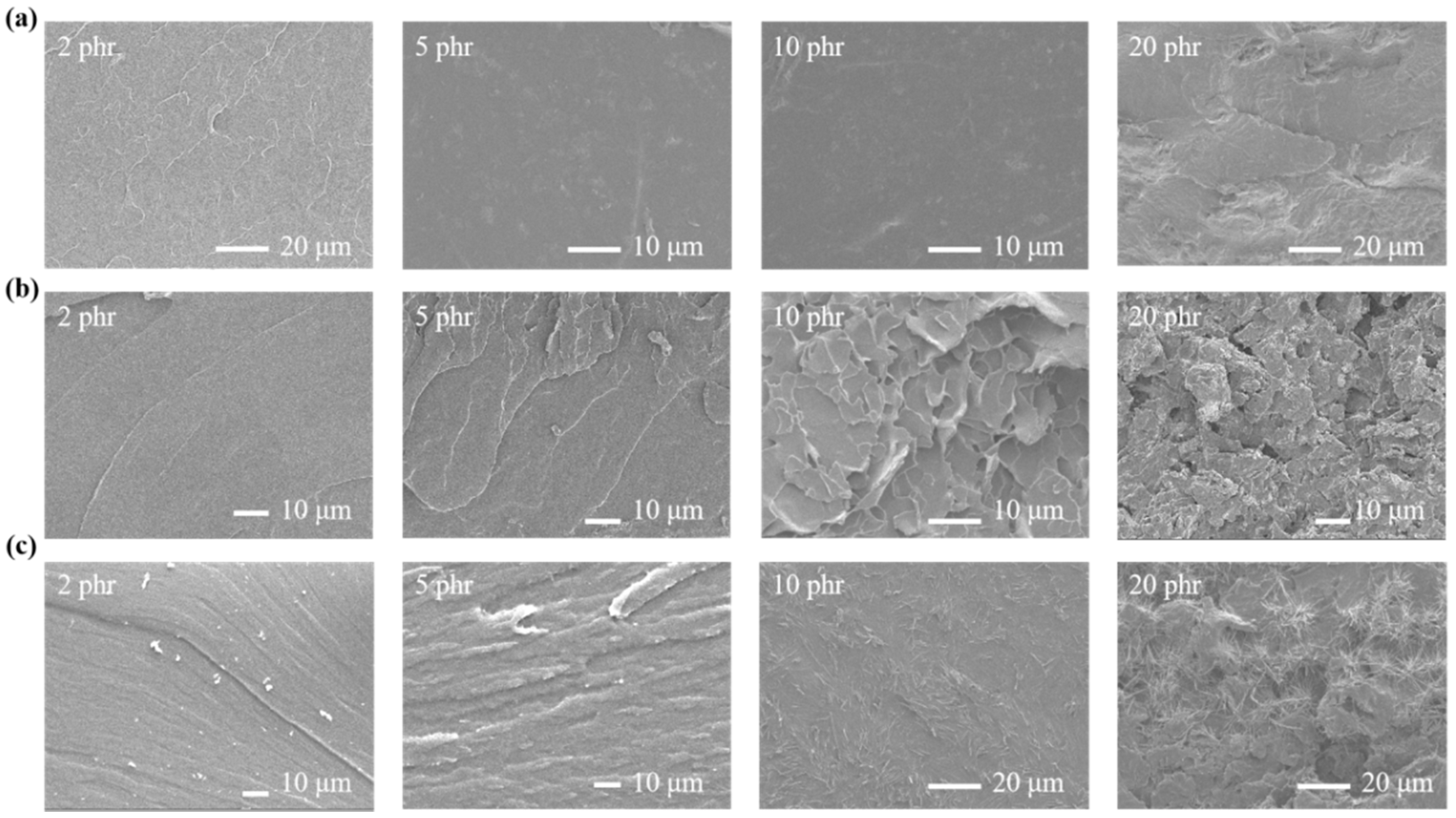 Polymers 14 02098 g002
