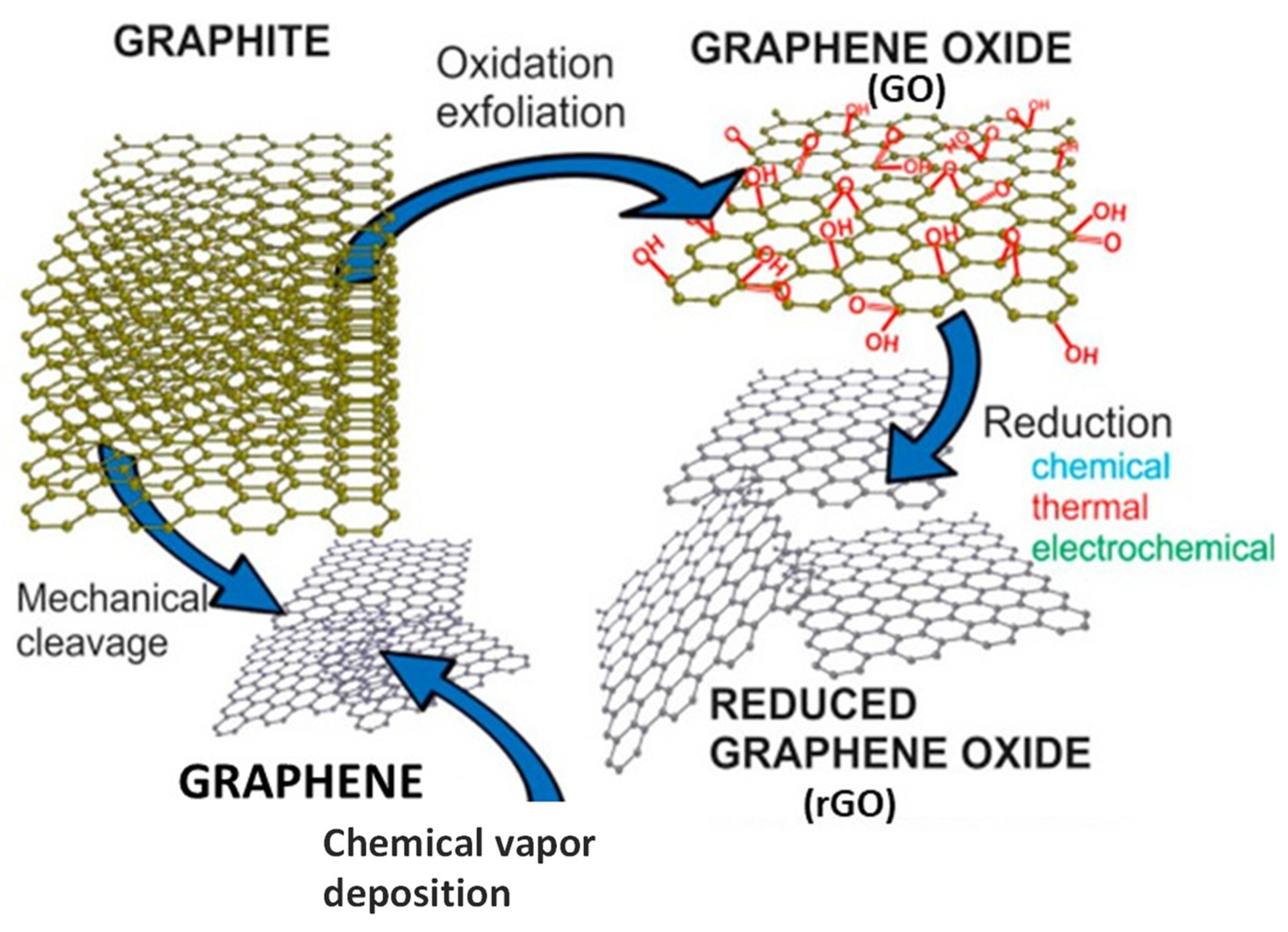 Polymers 14 02102 g001