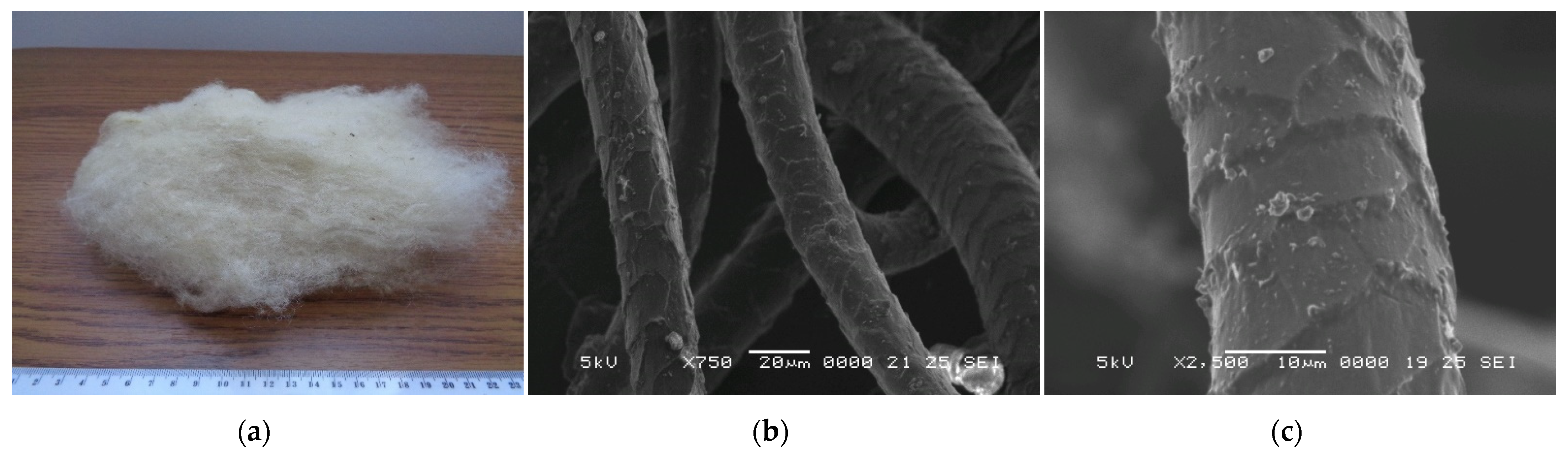 Polymers 14 02109 g001