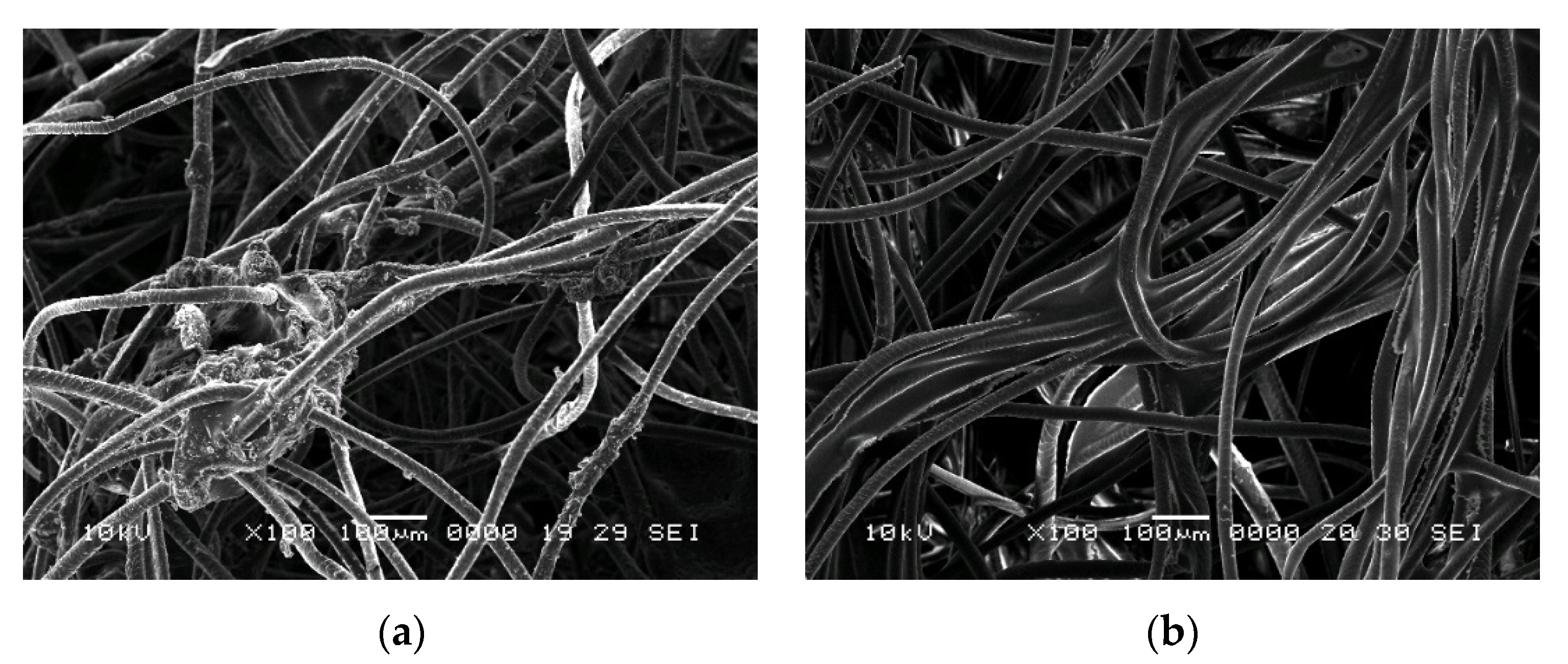 Polymers 14 02109 g012