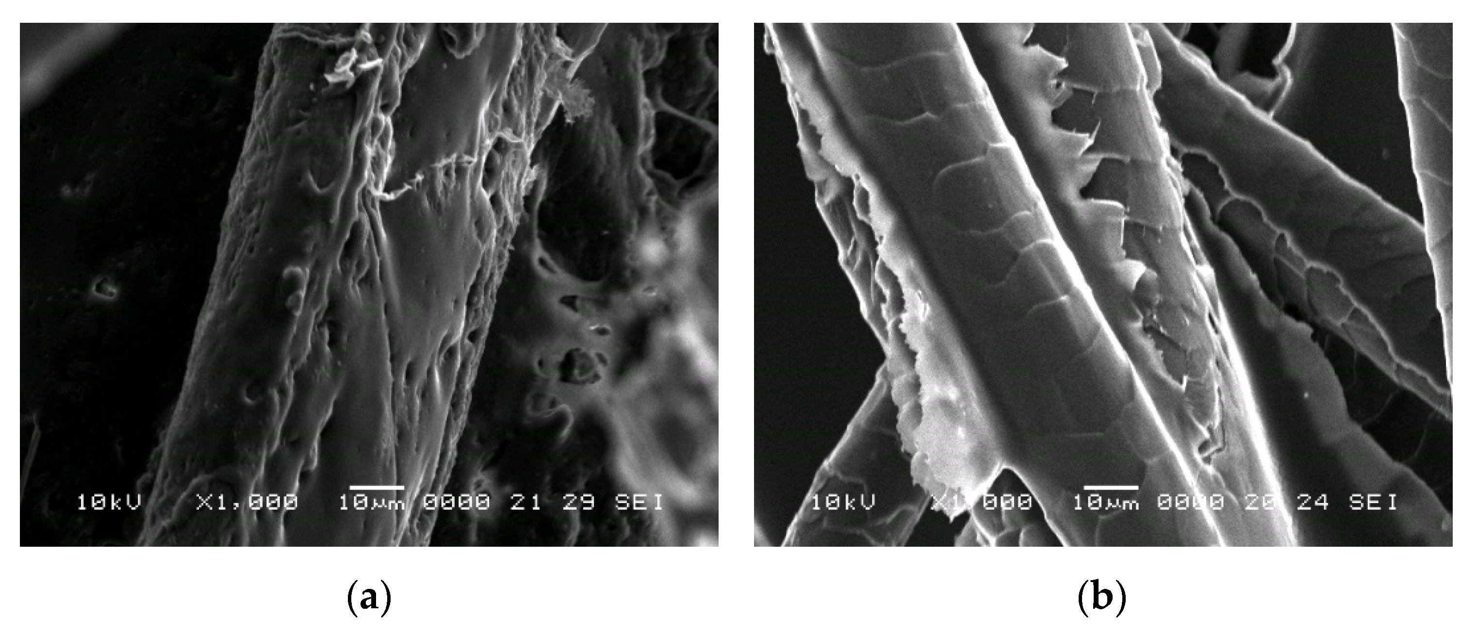 Polymers 14 02109 g013