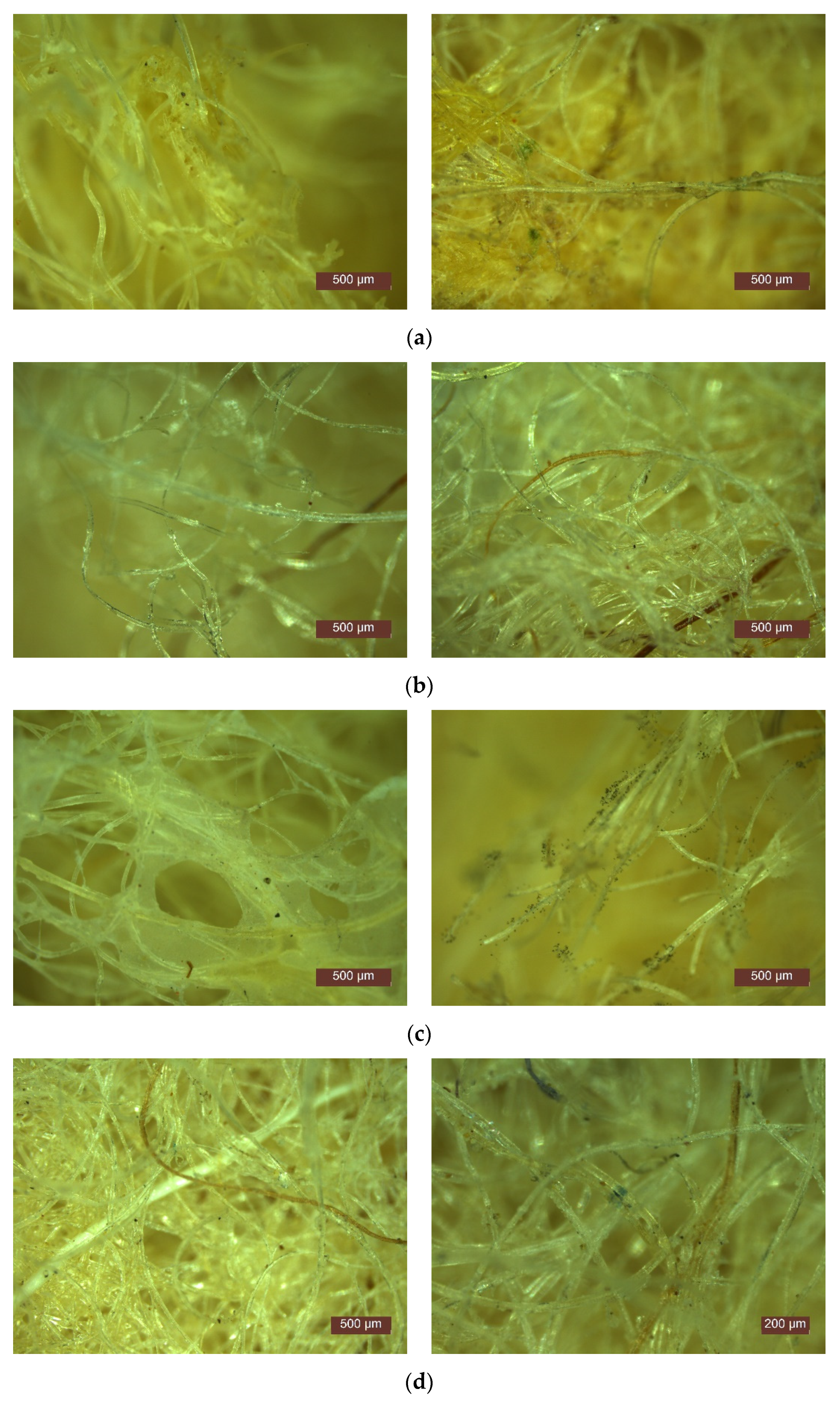 Polymers 14 02109 g017