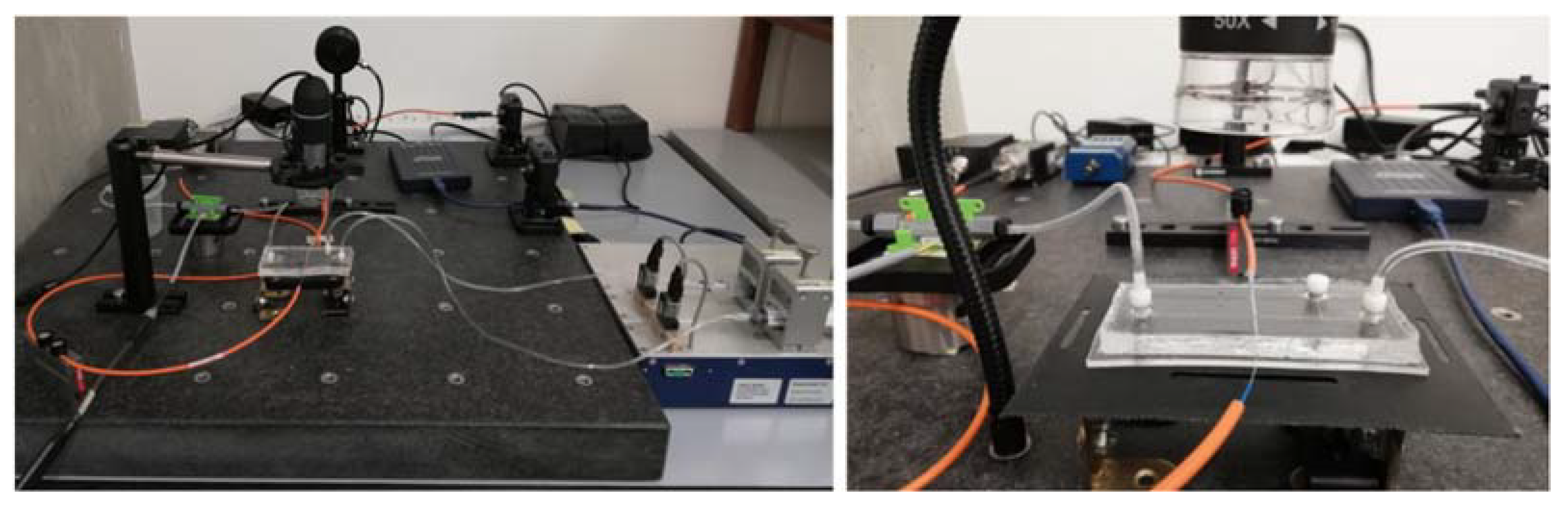 Polymers 14 02113 g004 Polymers 14 02113 g004
