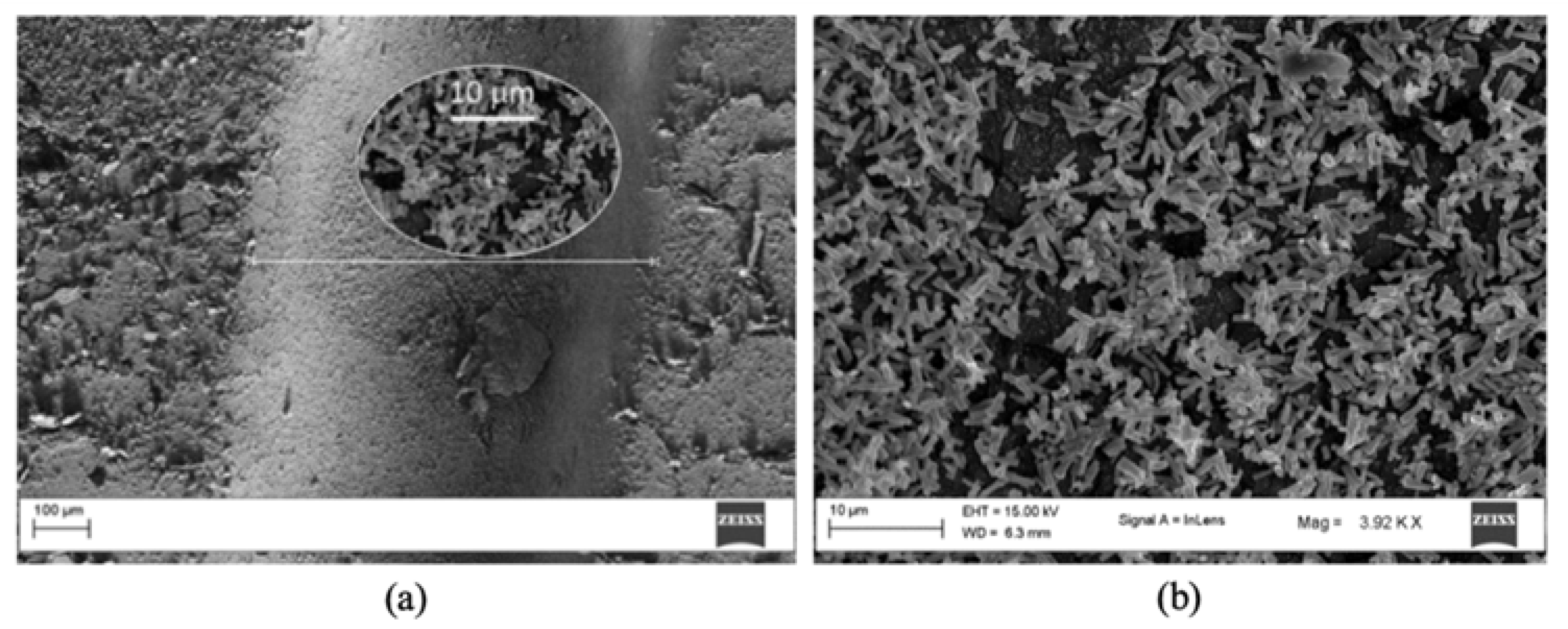 Polymers 14 02113 g005 Polymers 14 02113 g005