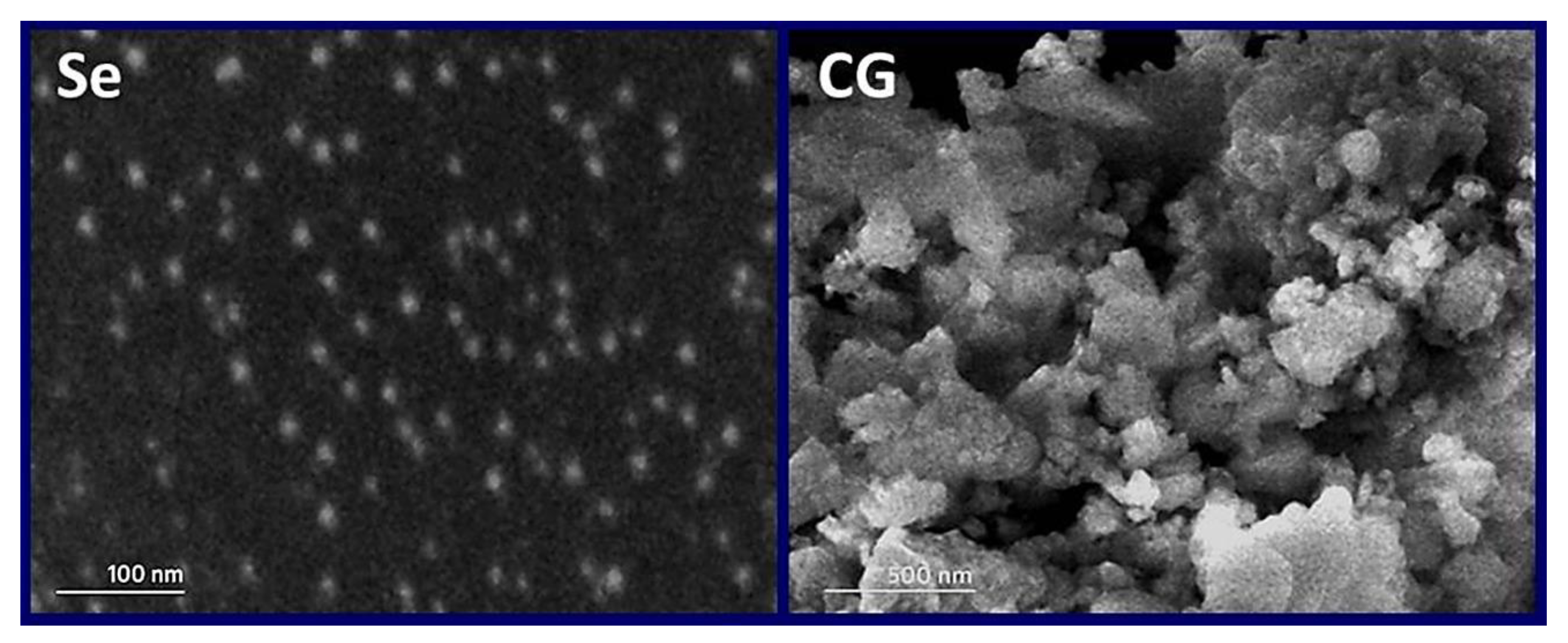 Polymers 14 02116 g002