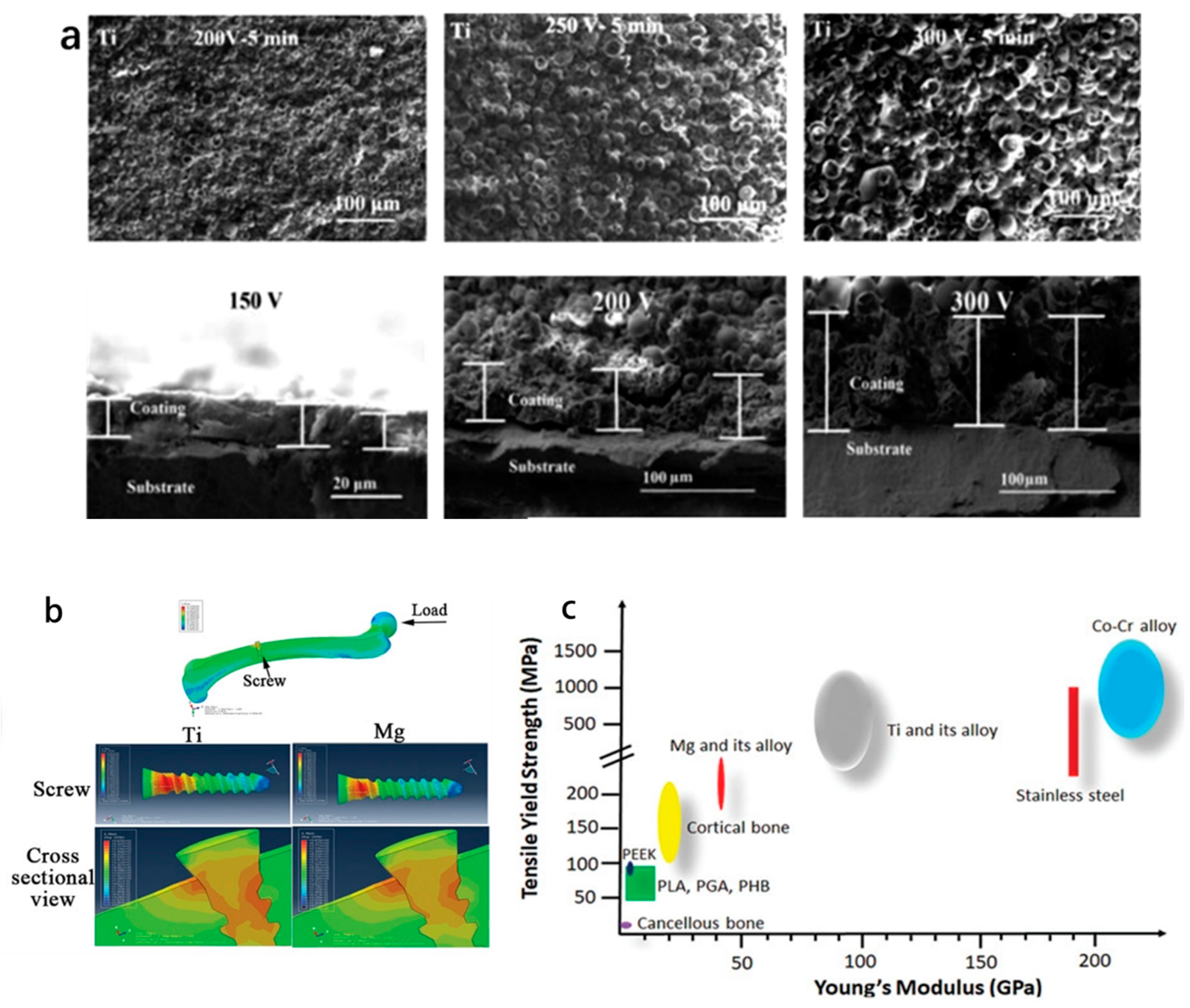 Polymers 14 02117 g002