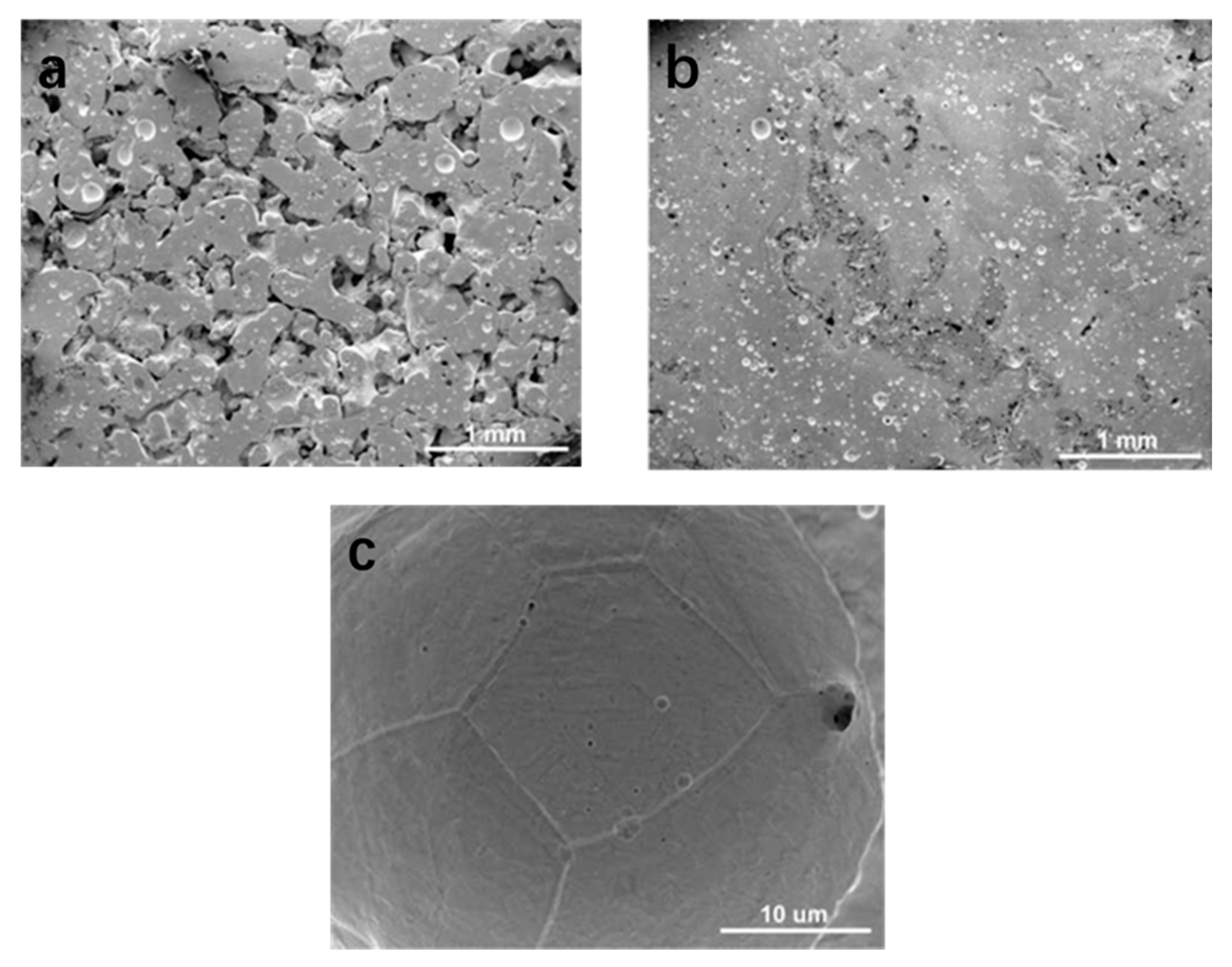 Polymers 14 02117 g003