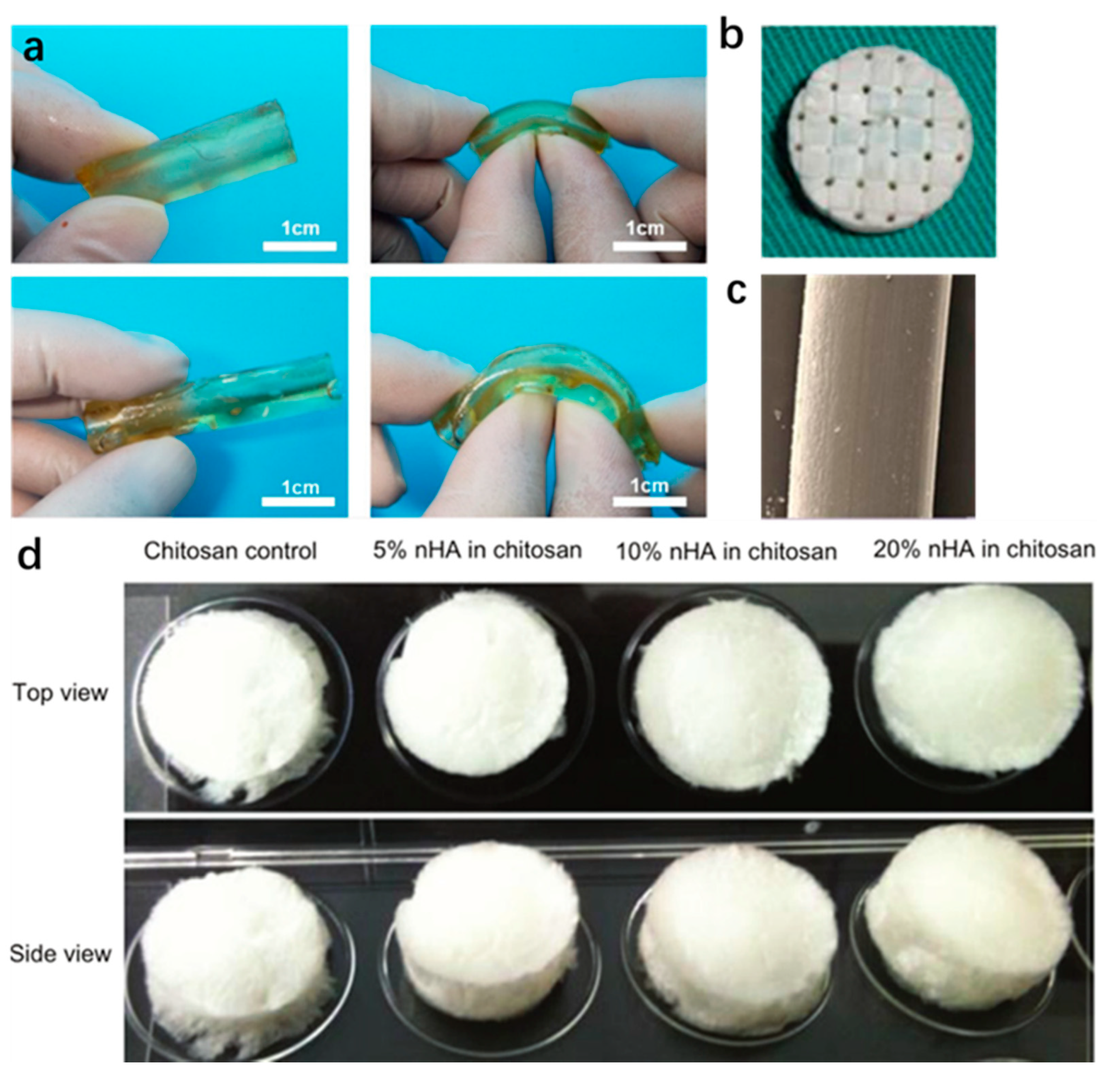 Polymers 14 02117 g005