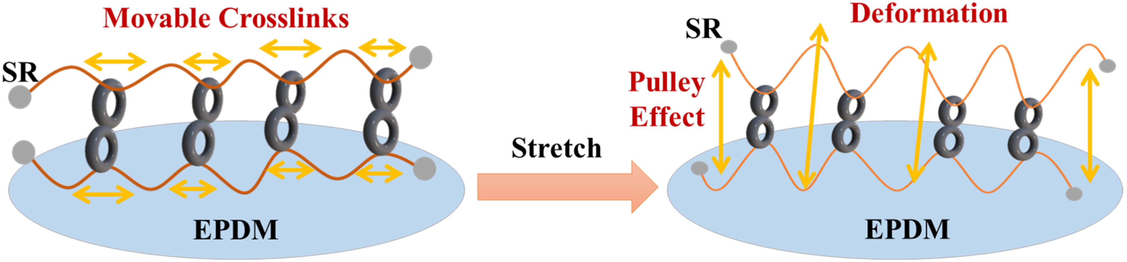 Polymers 14 02121 g002