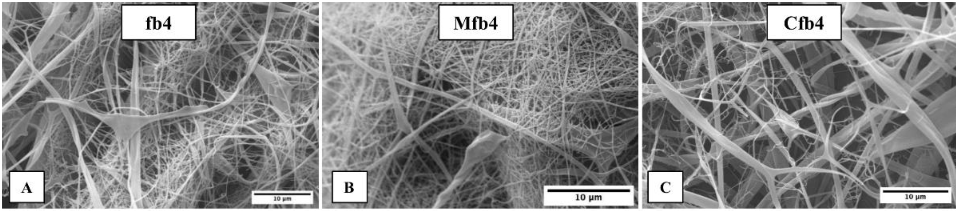 Polymers 14 02127 g001